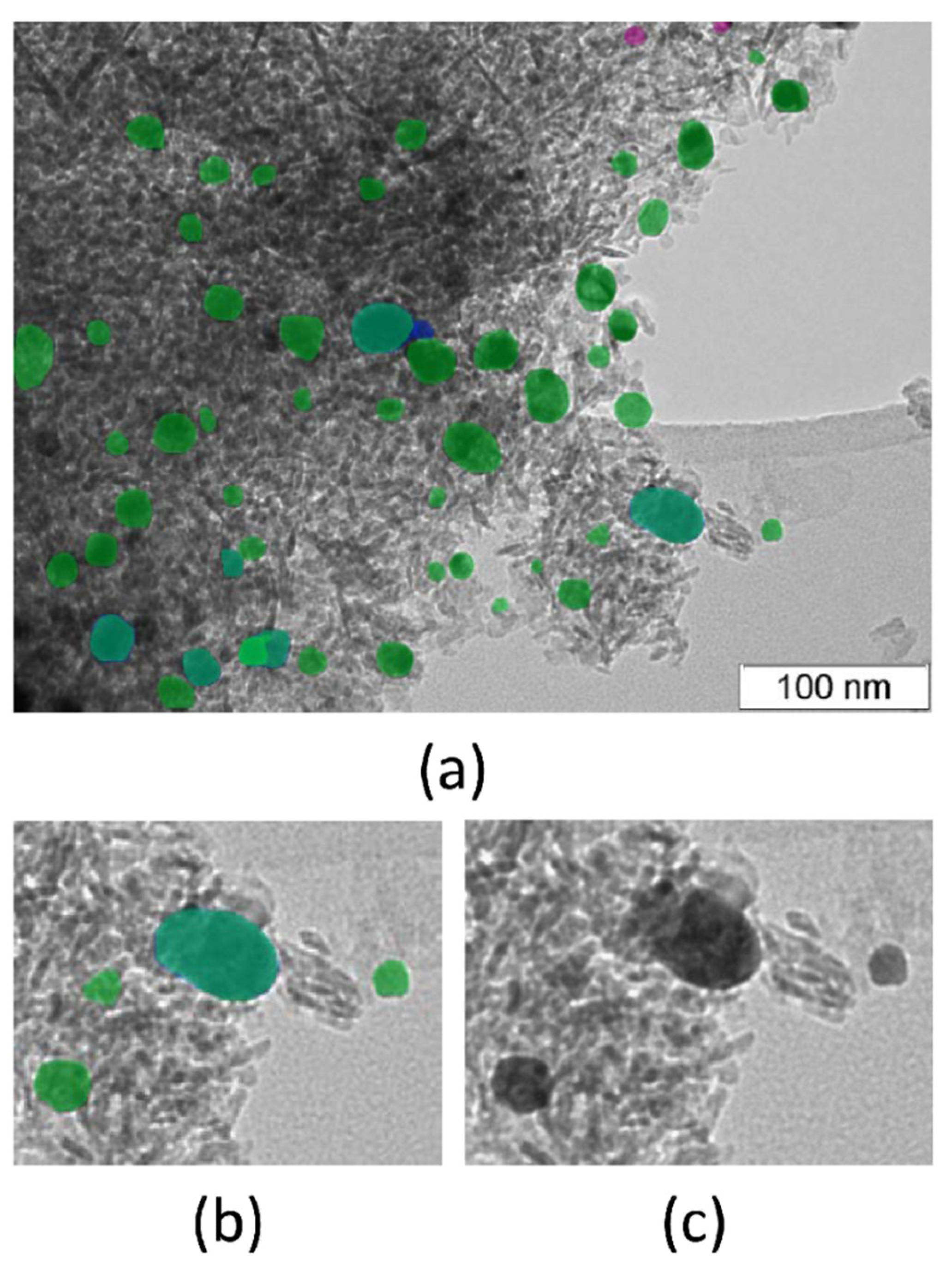 Catalysts 12 00135 g004 Catalysts 12 00135 g004