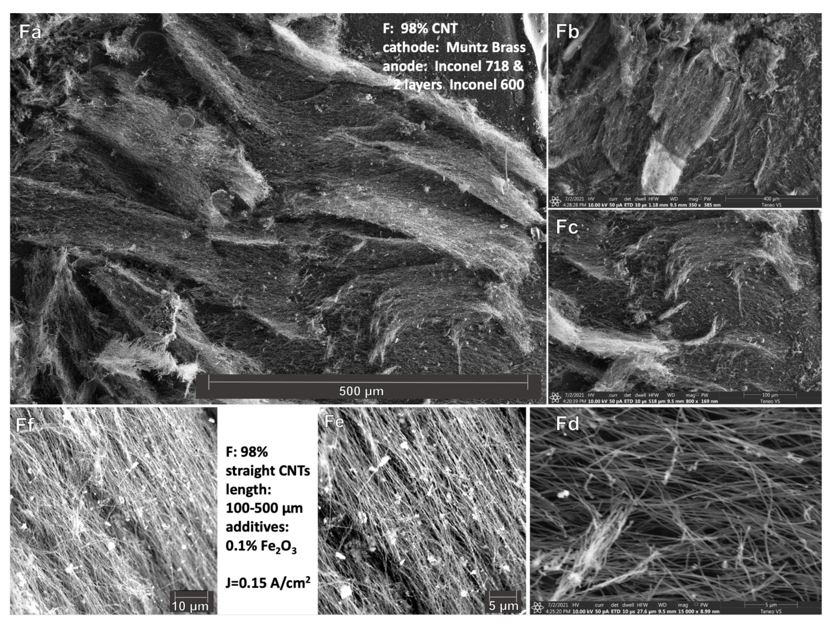 Catalysts 12 00137 g004