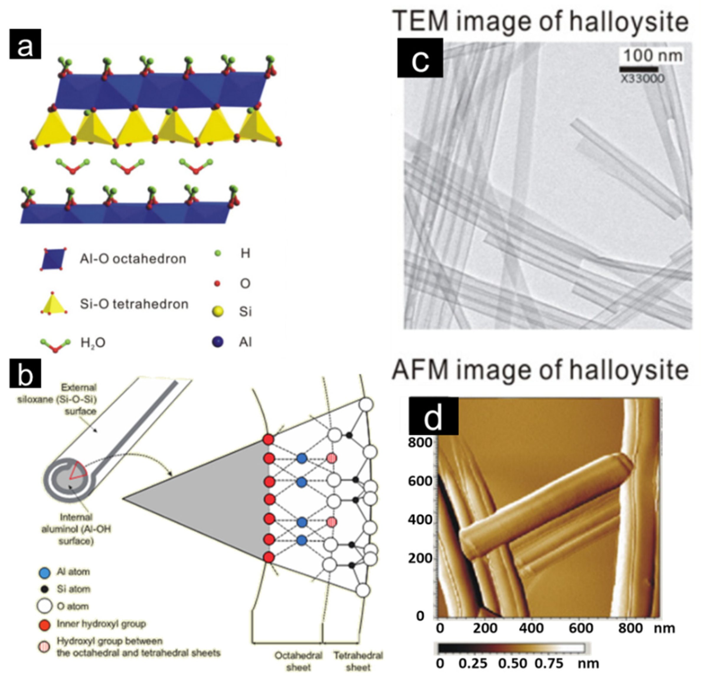 Catalysts 12 00149 g002