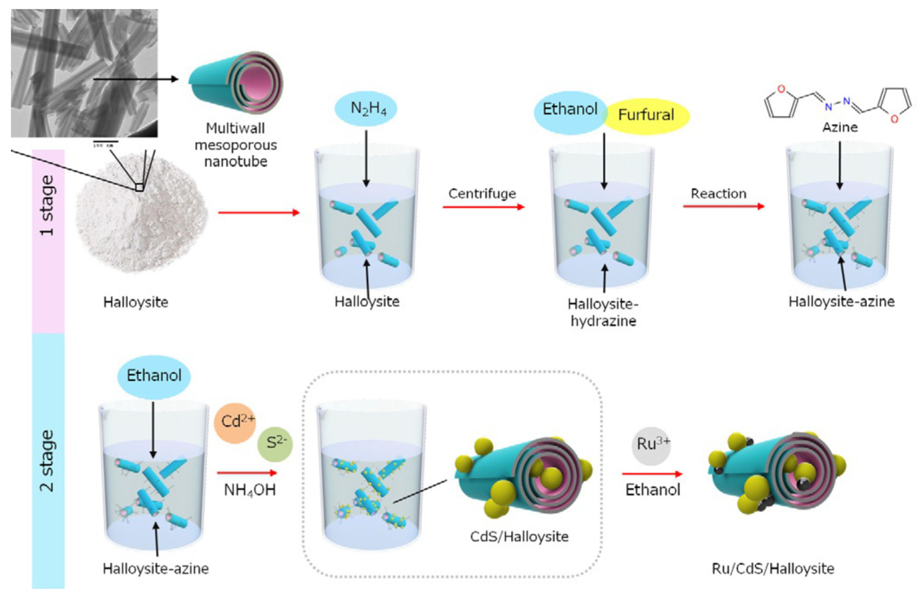 Catalysts 12 00149 g007