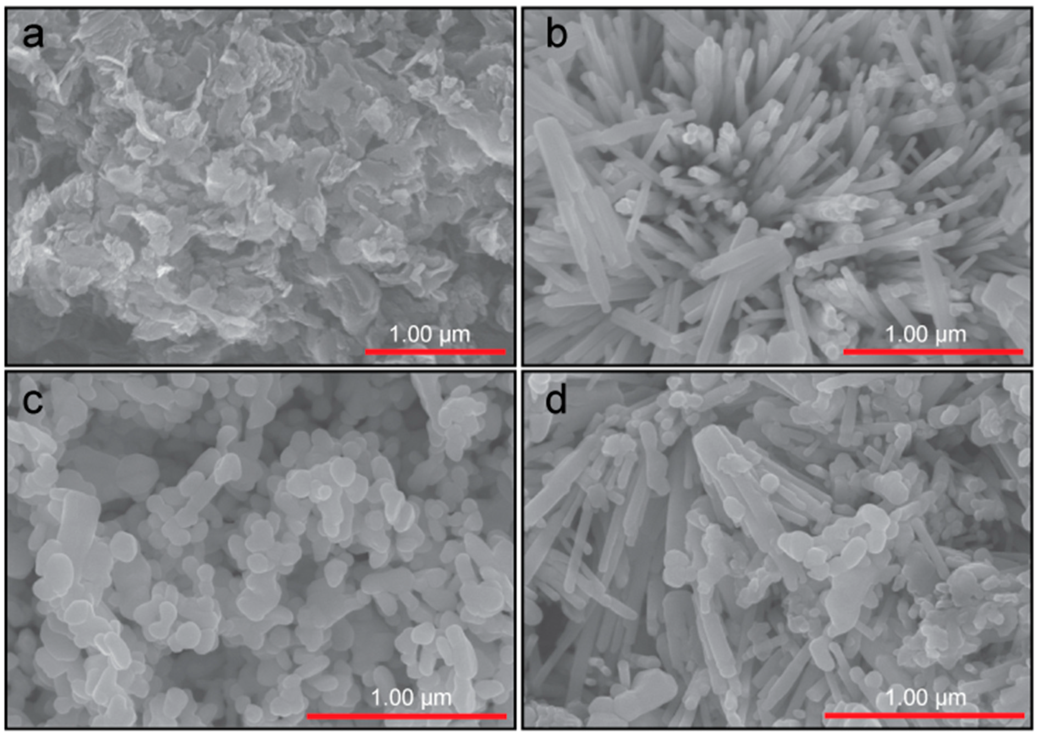 Catalysts 12 00151 g005