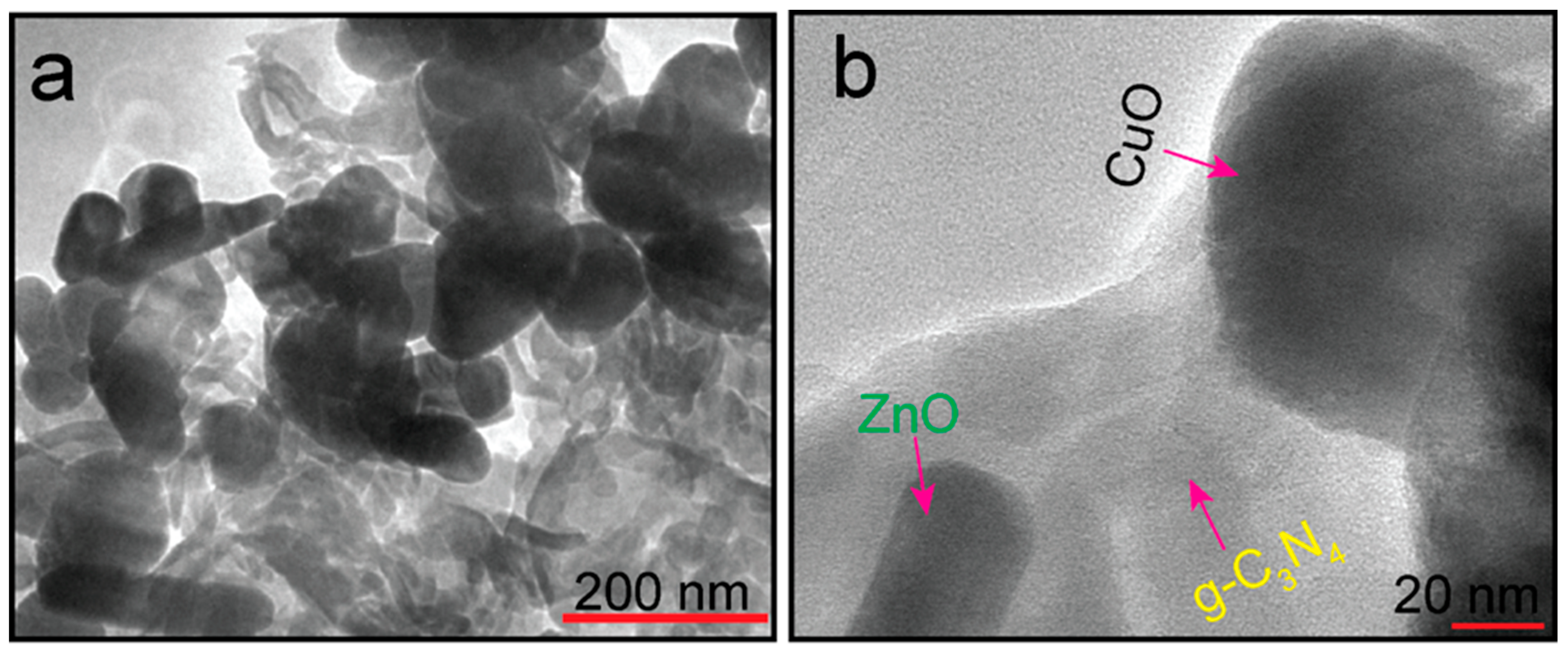 Catalysts 12 00151 g006