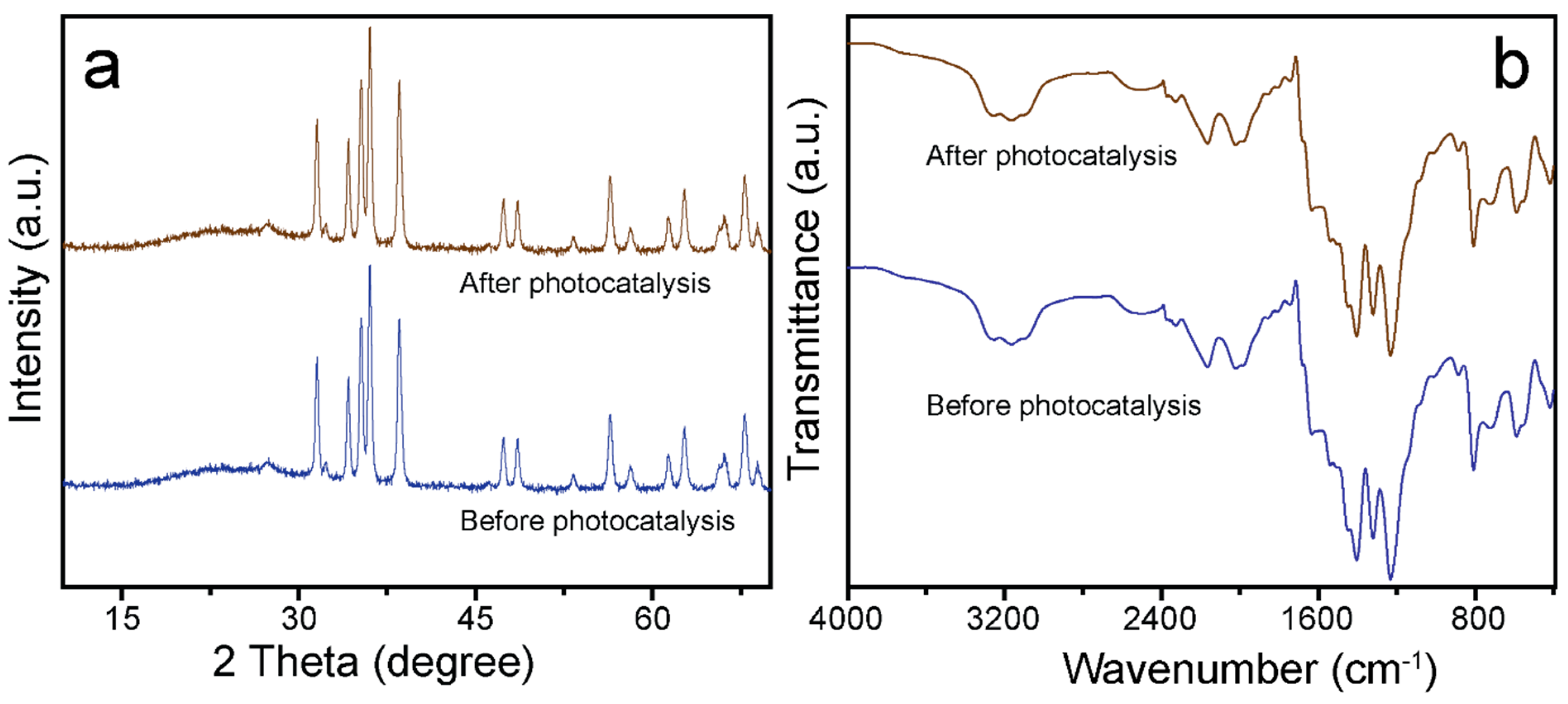 Catalysts 12 00151 g009