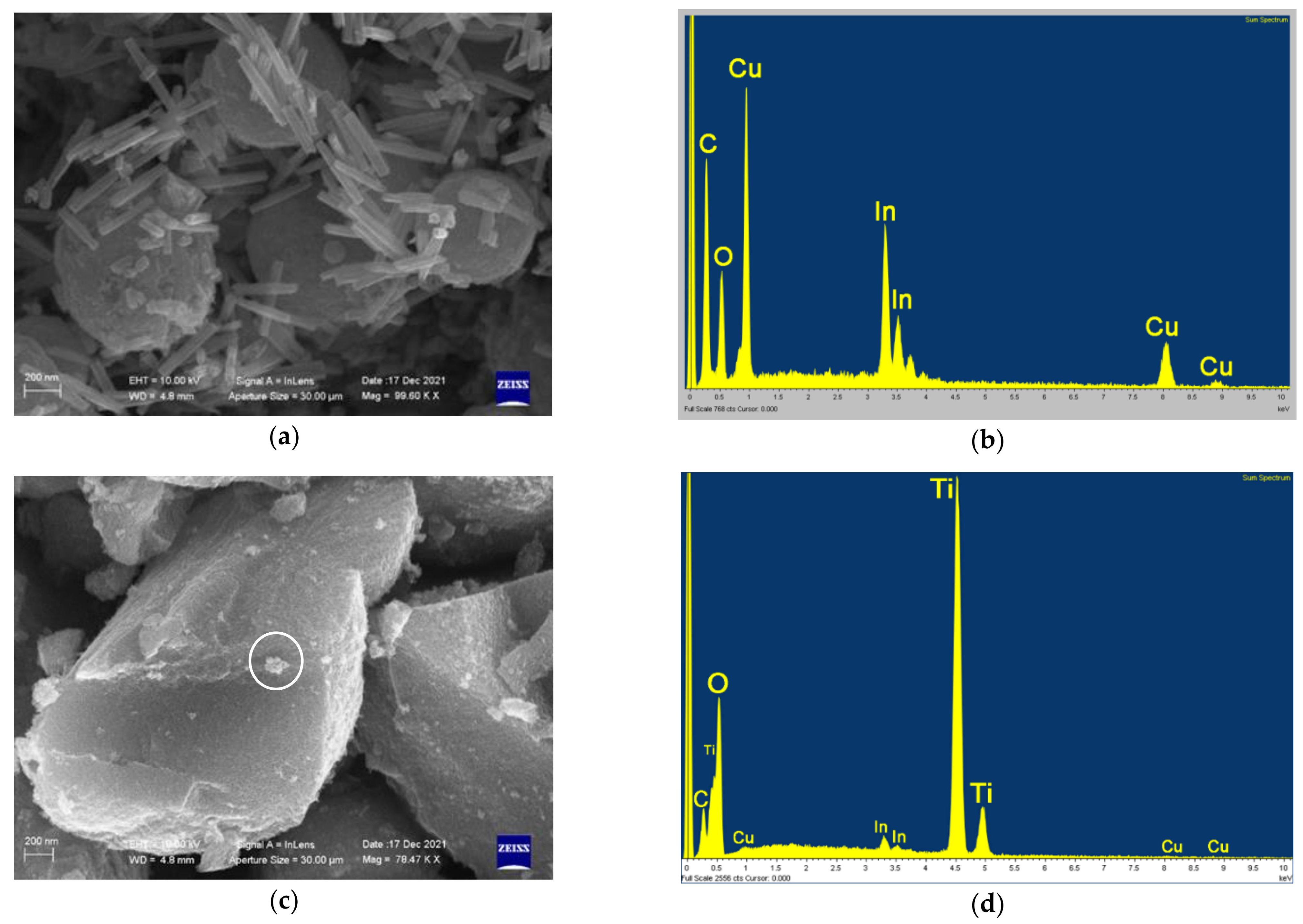 Catalysts 12 00153 g013