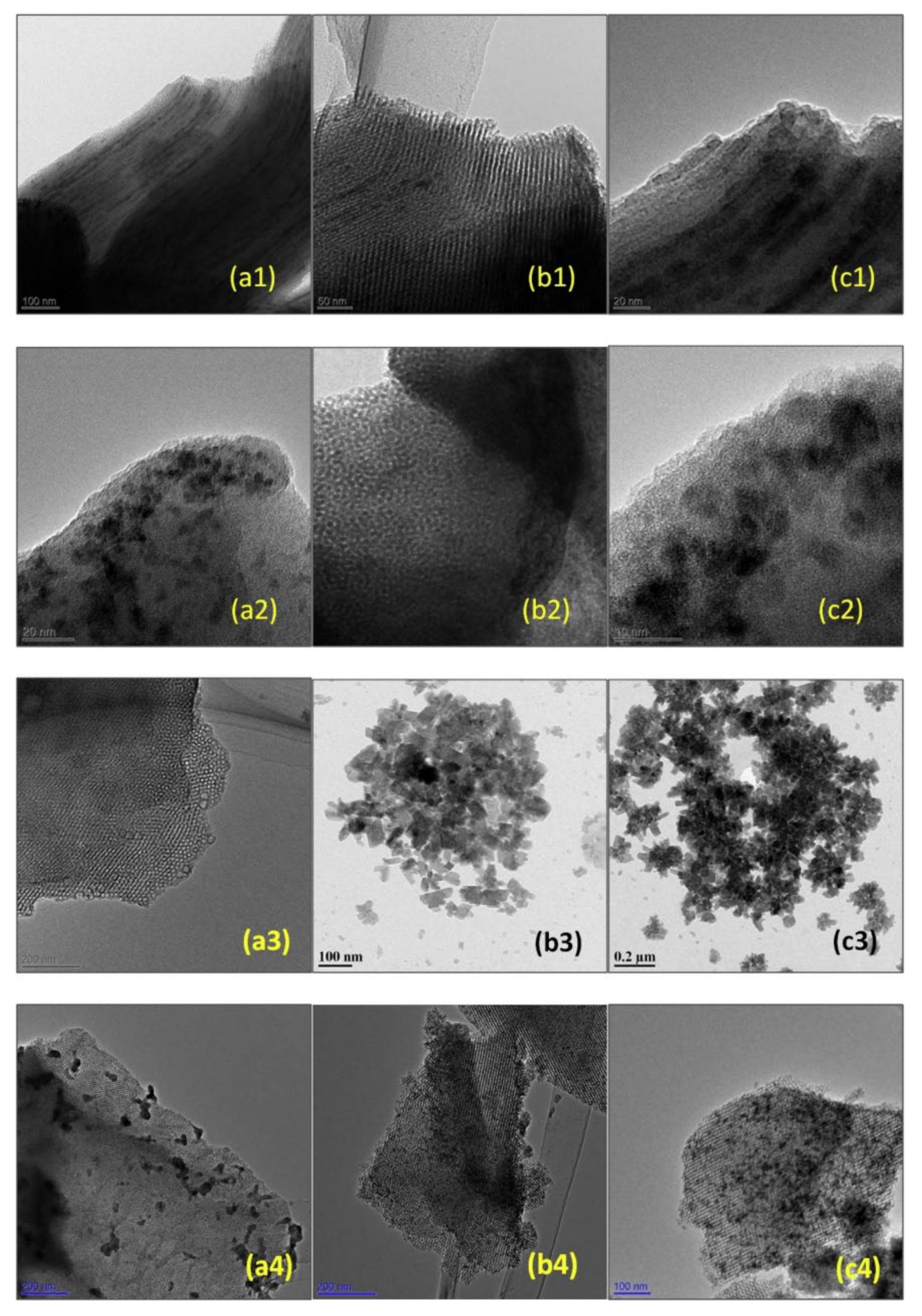 Catalysts 12 00154 g016
