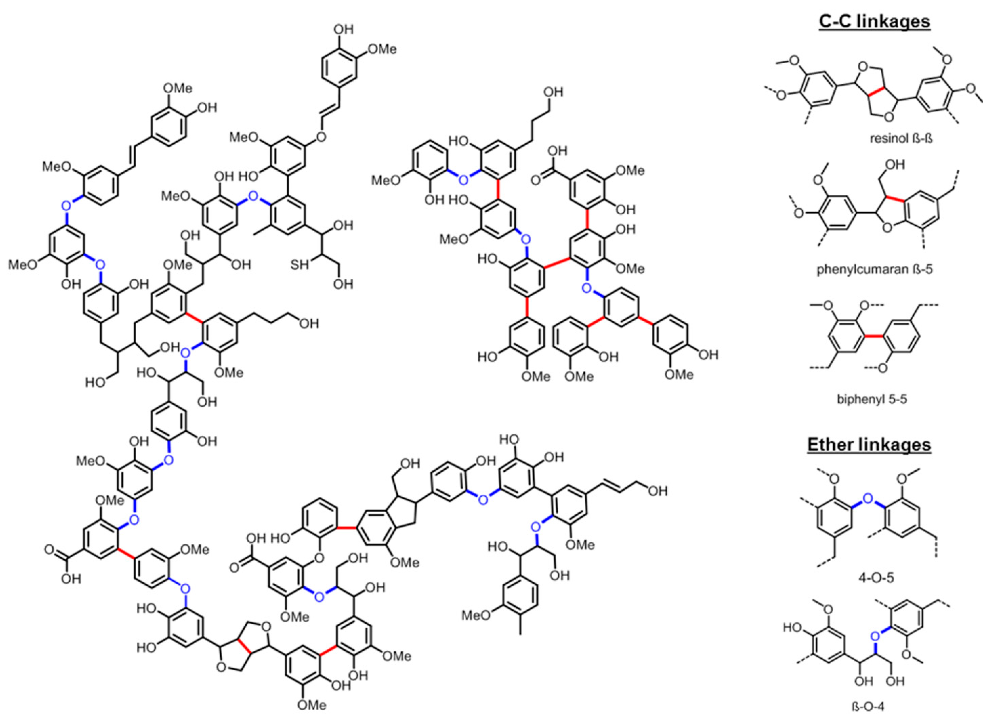 Catalysts 12 00158 g001