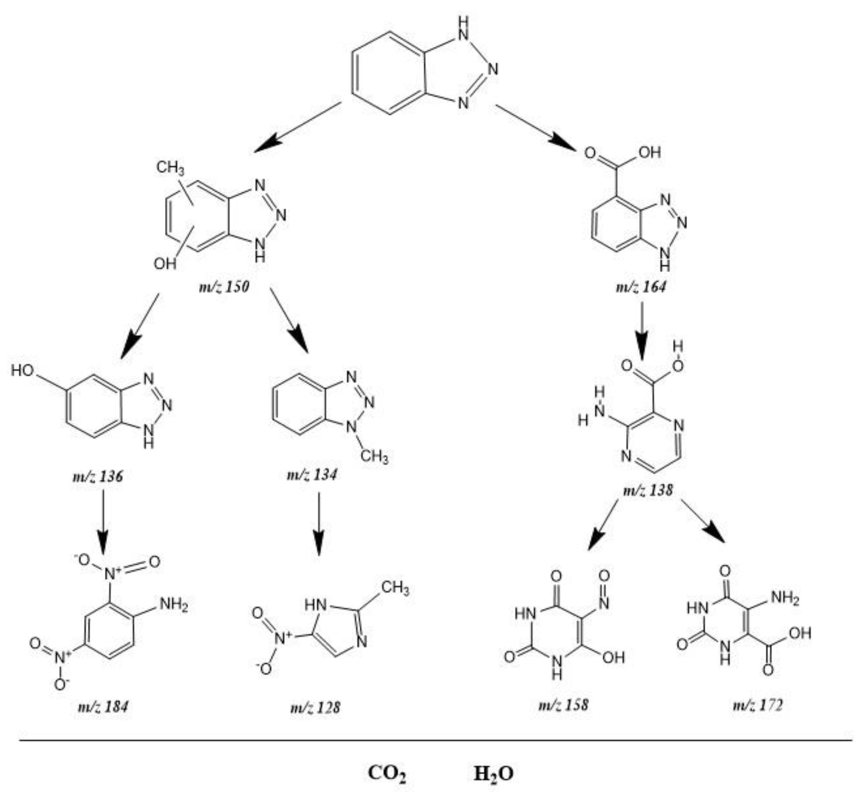 Catalysts 12 00159 g012
