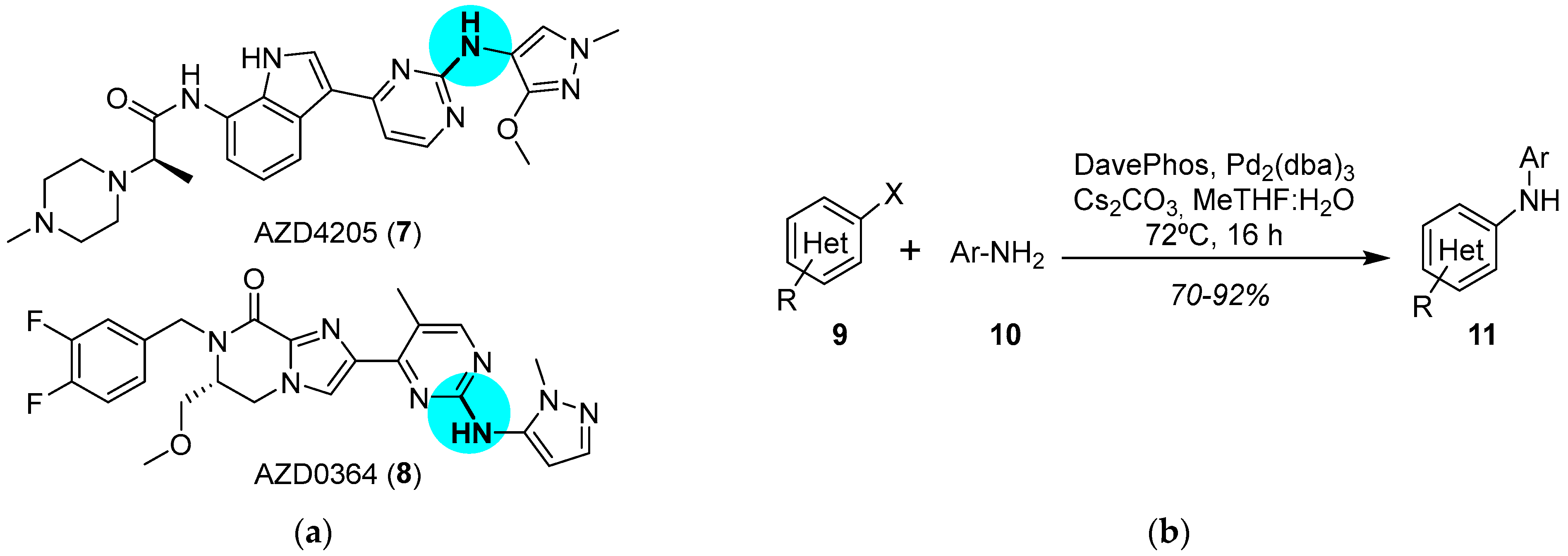 Catalysts 12 00164 g003