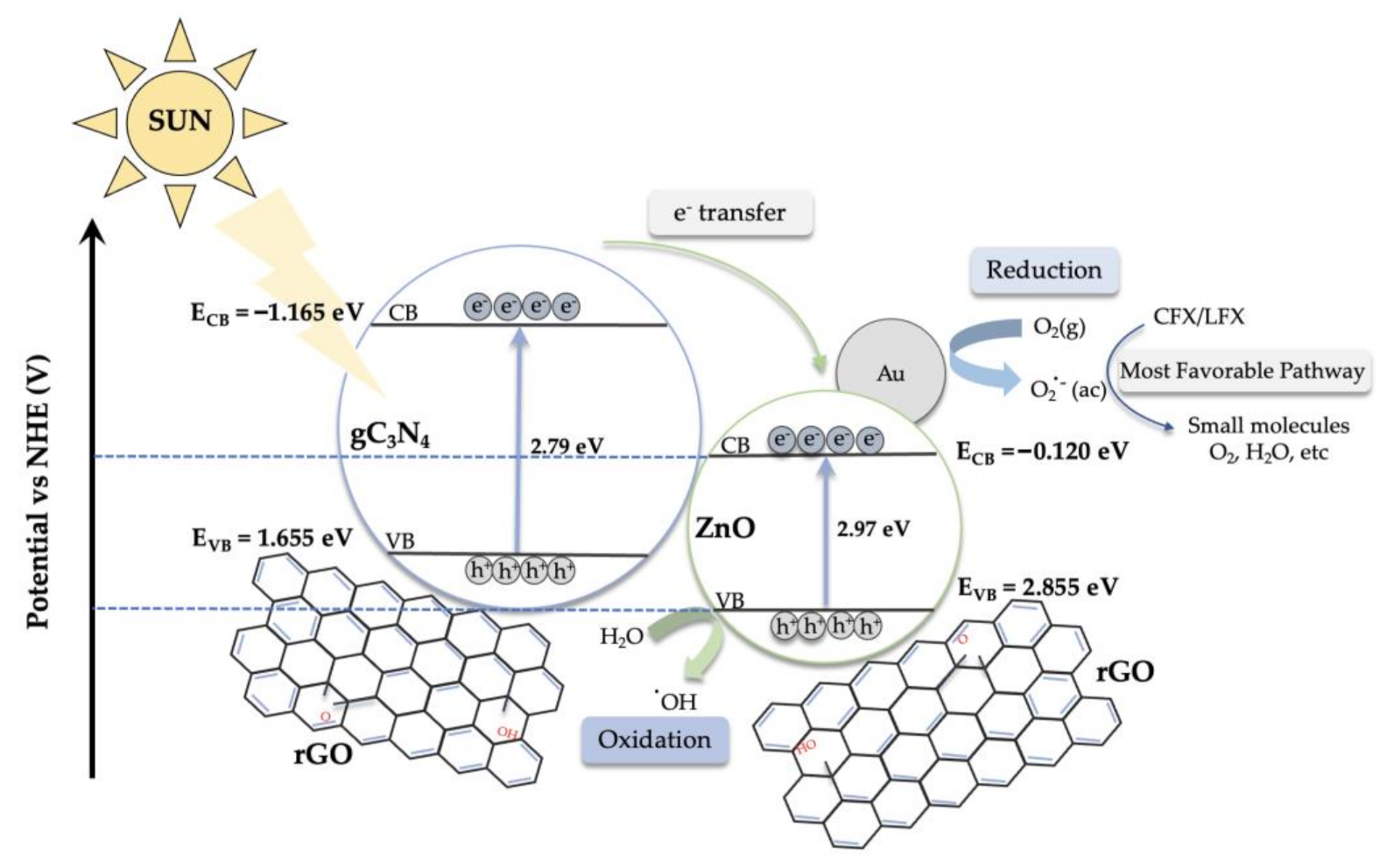 Catalysts 12 00166 g009