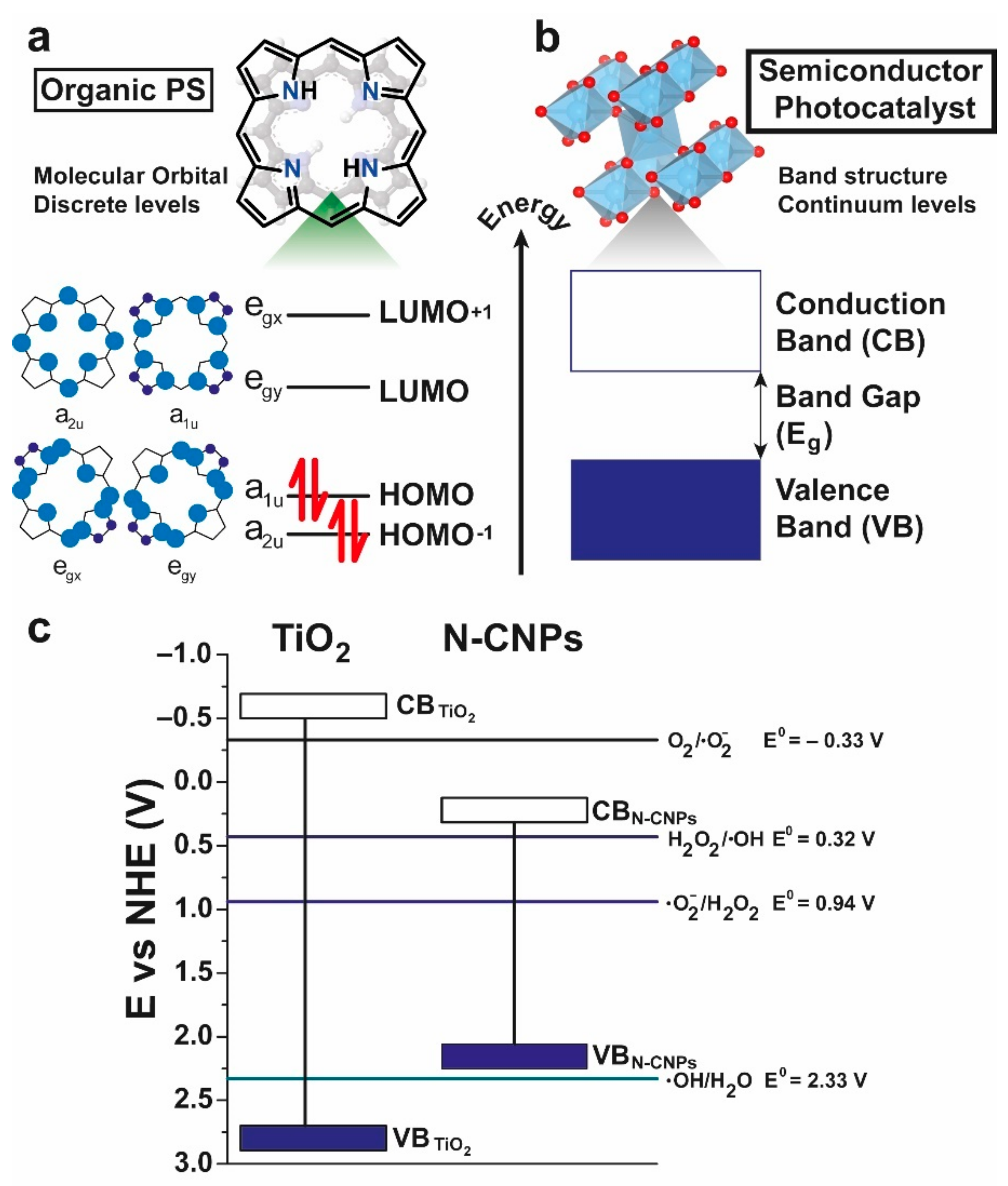 Catalysts 12 00167 g001