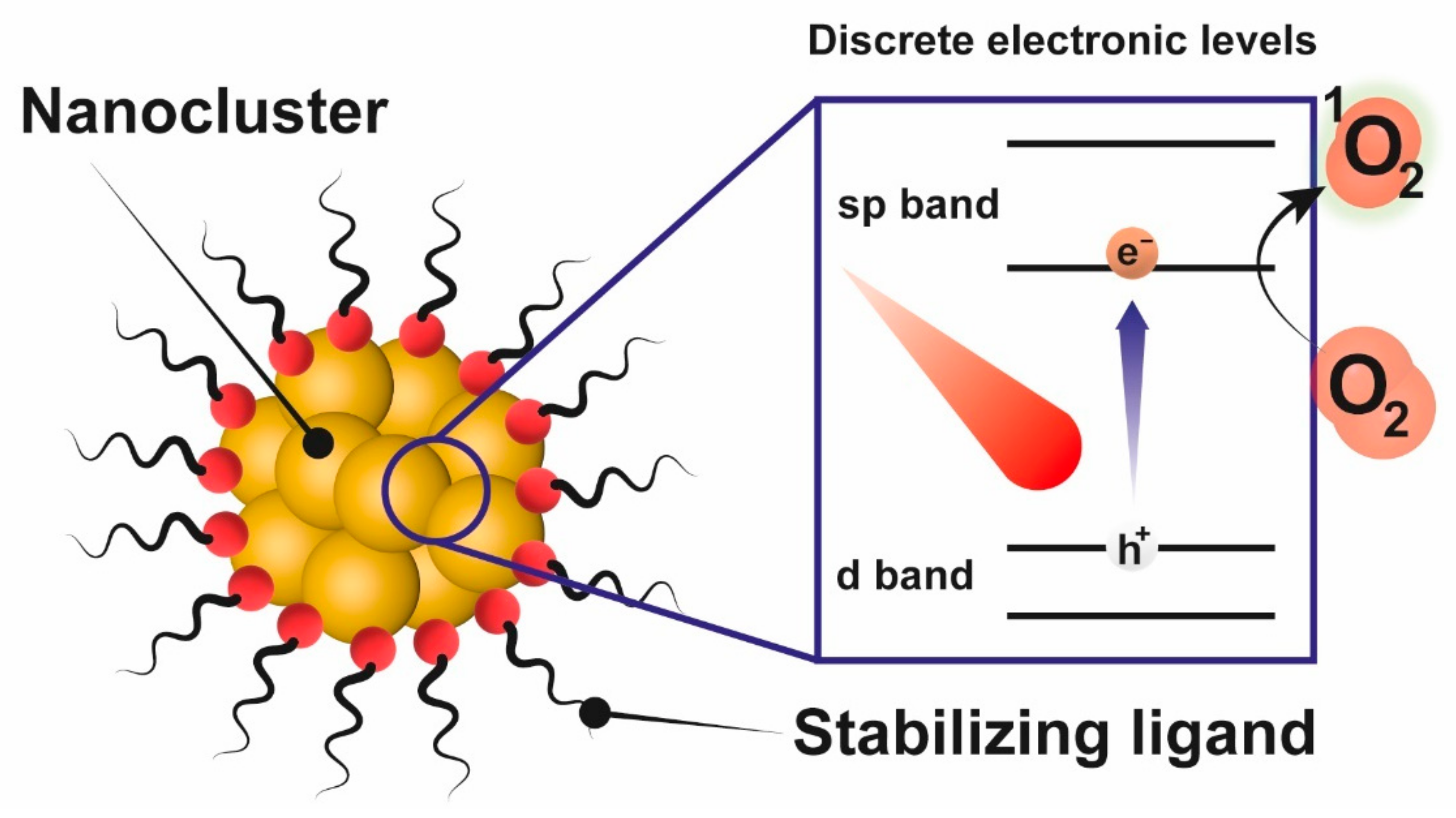 Catalysts 12 00167 g009
