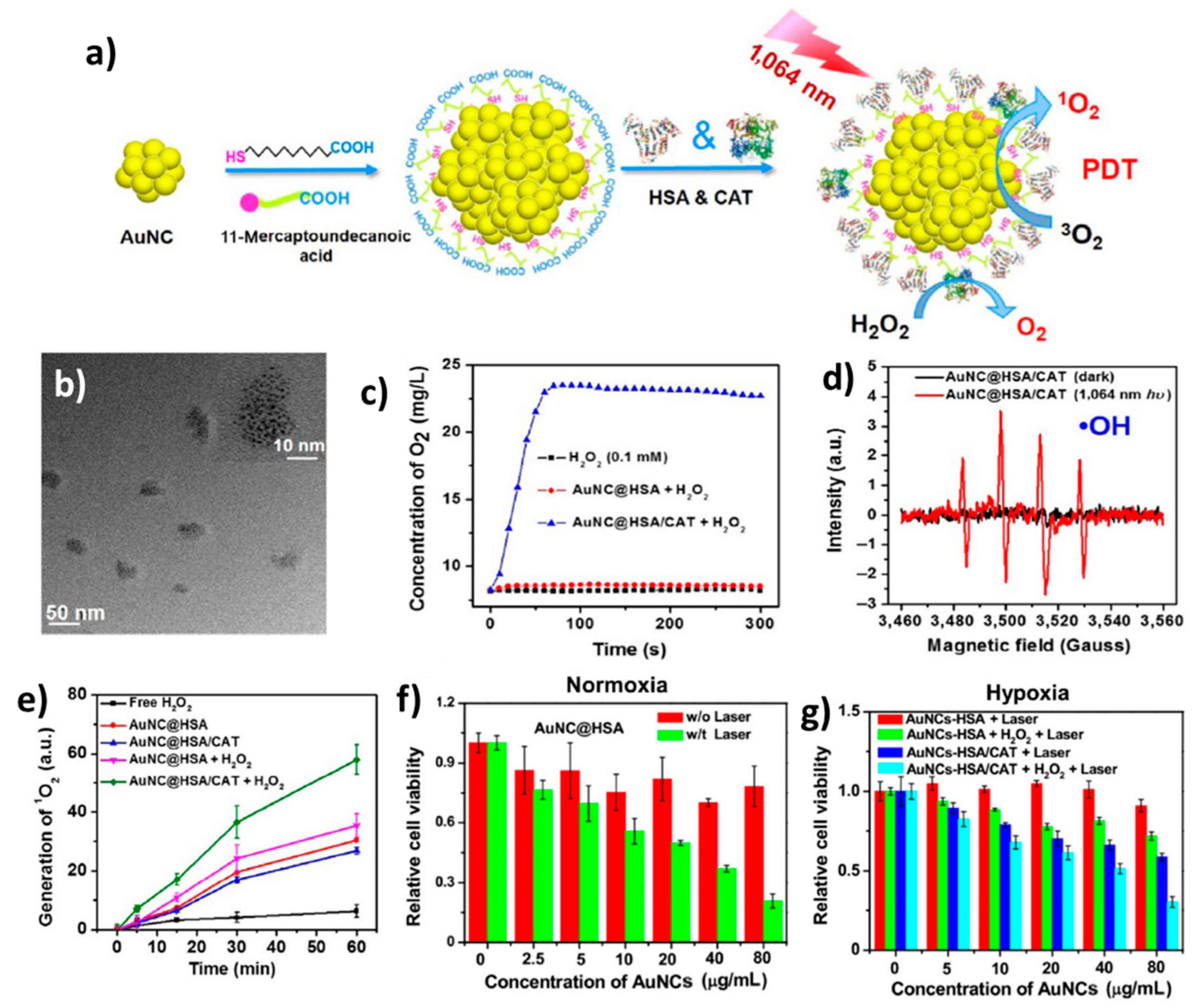Catalysts 12 00167 g010
