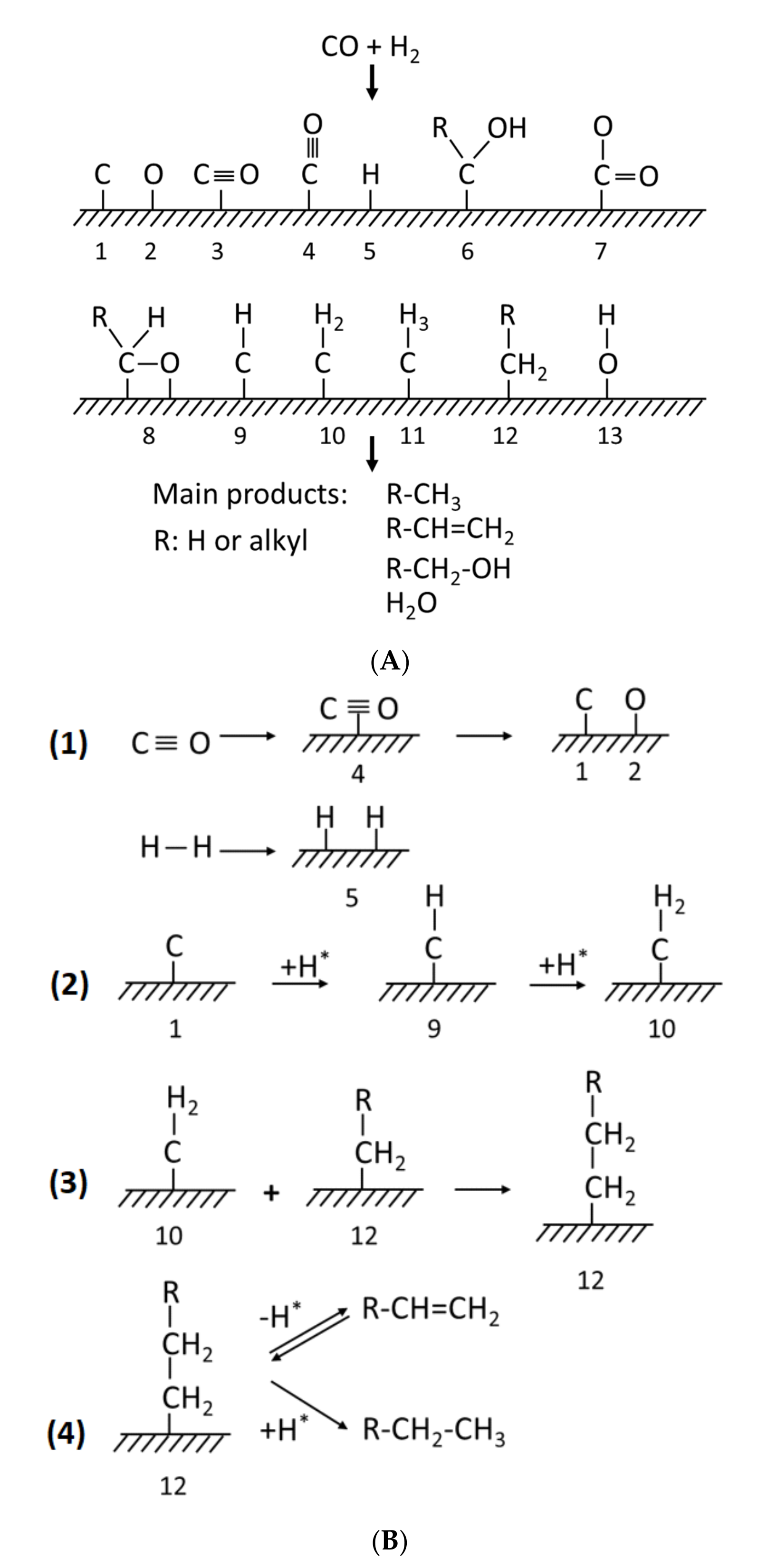 Catalysts 12 00174 g002