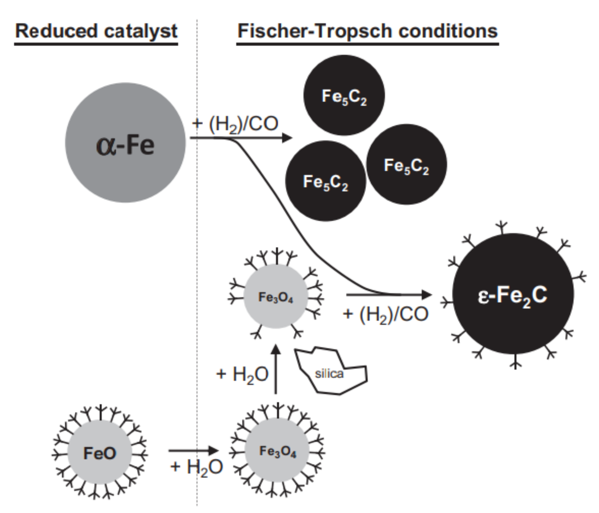 Catalysts 12 00174 g007