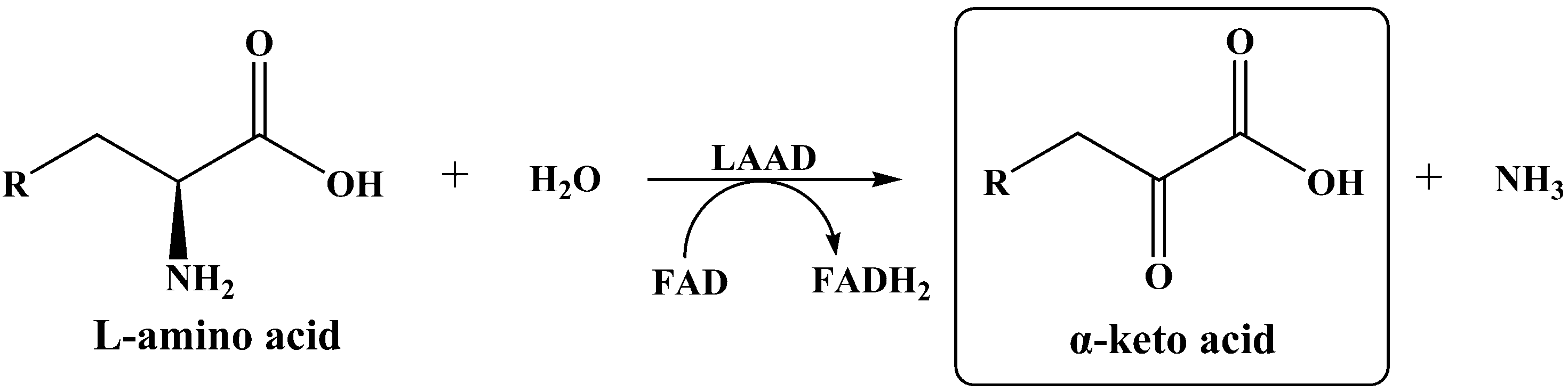 Catalysts 12 00175 g001