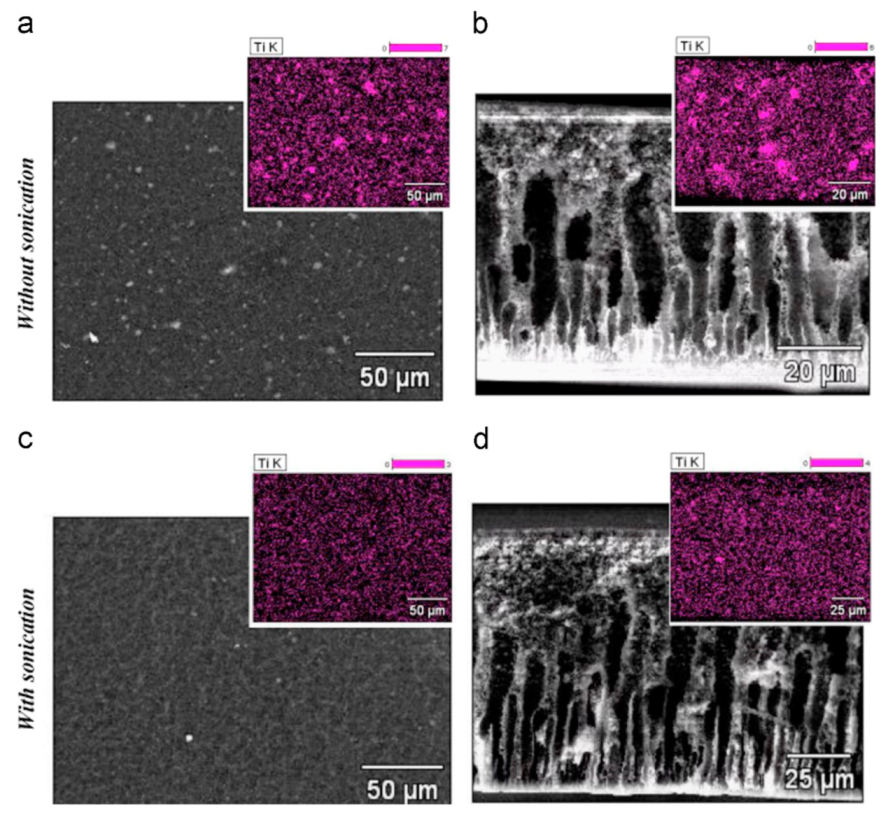 Catalysts 12 00180 g004