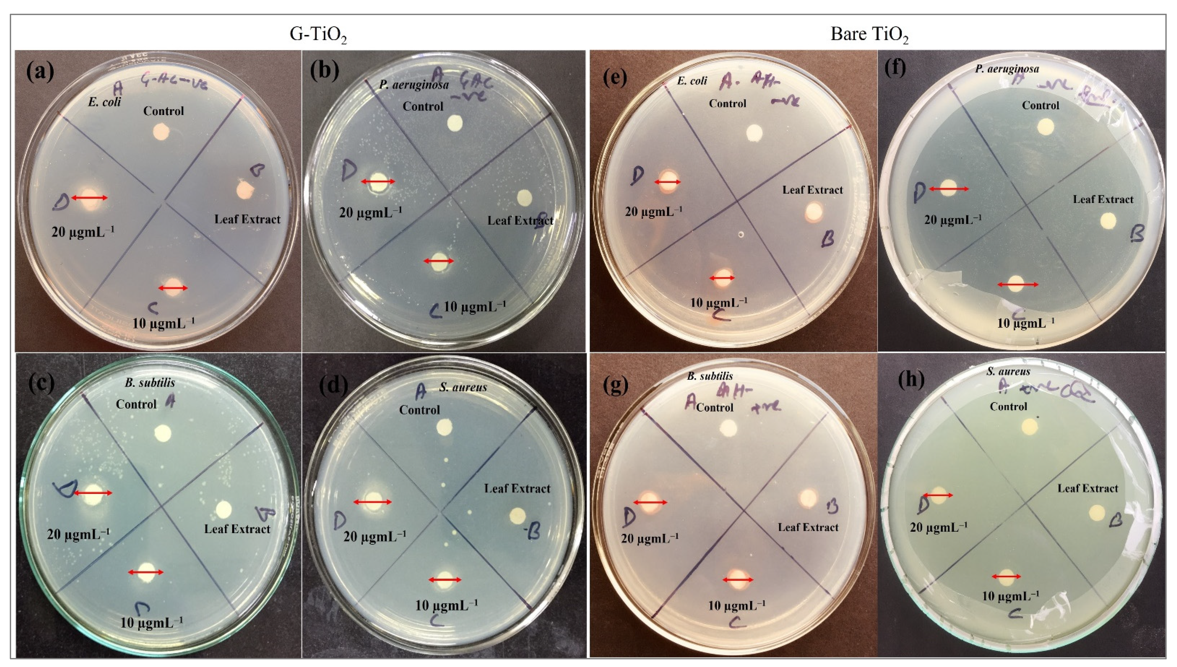 Catalysts 12 00181 g010
