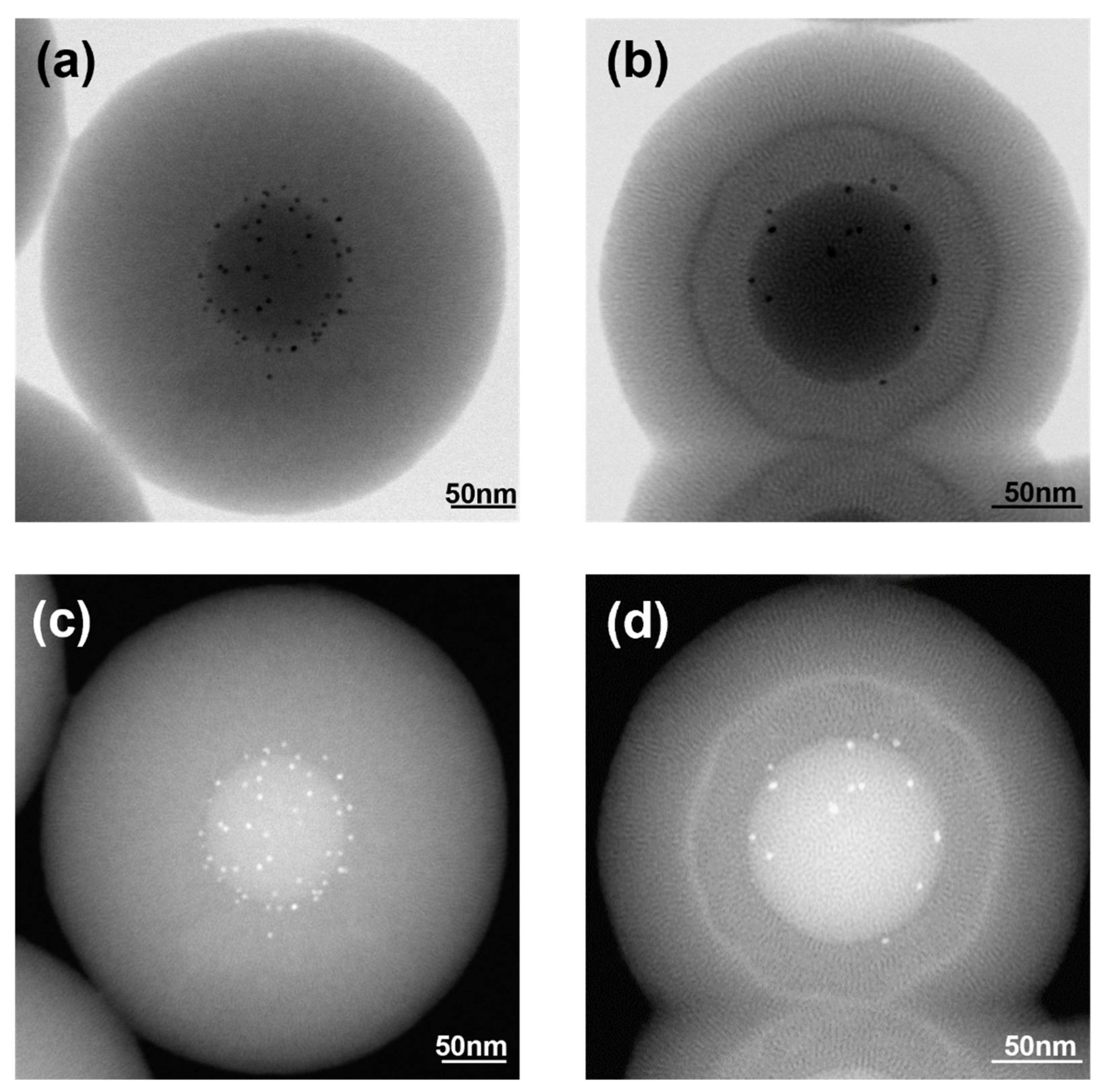 Catalysts 12 00183 g003