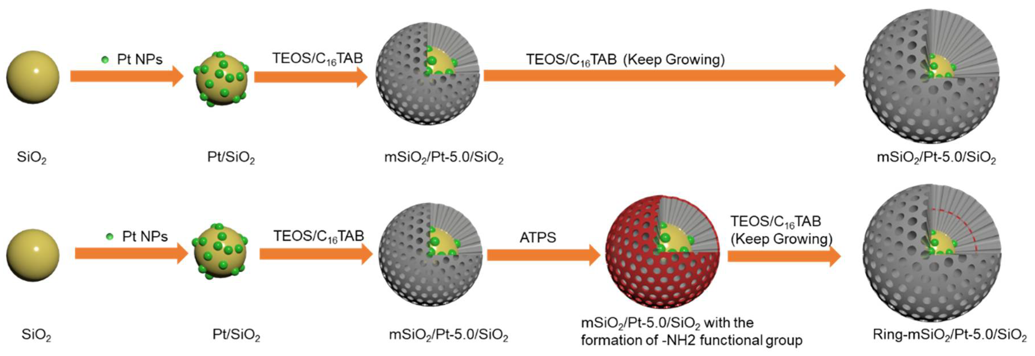 Catalysts 12 00183 sch001