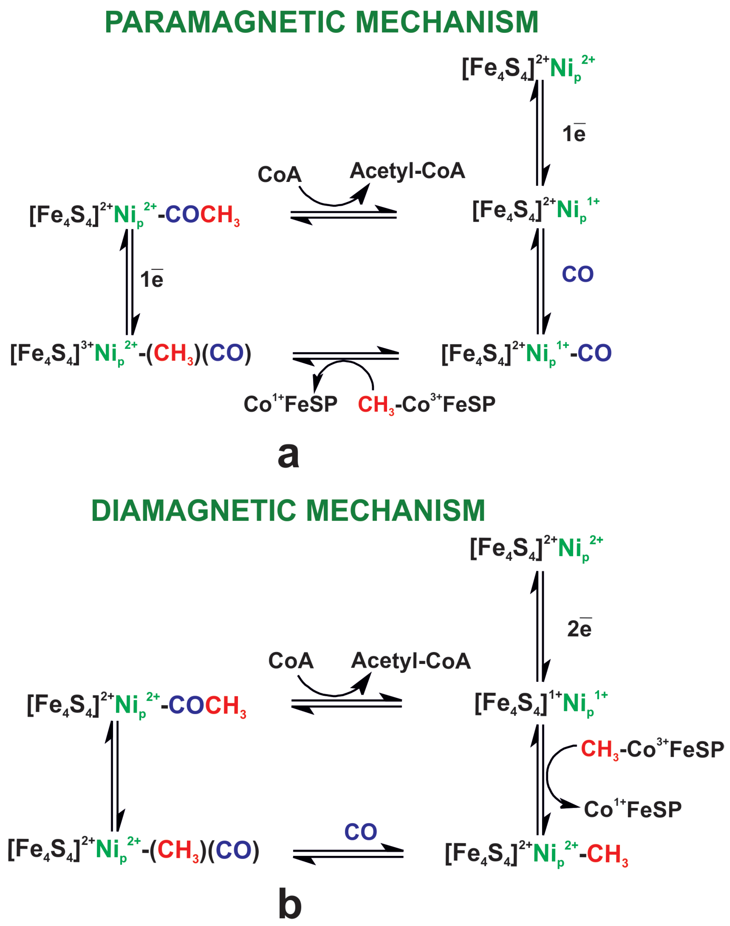 Catalysts 12 00195 g002