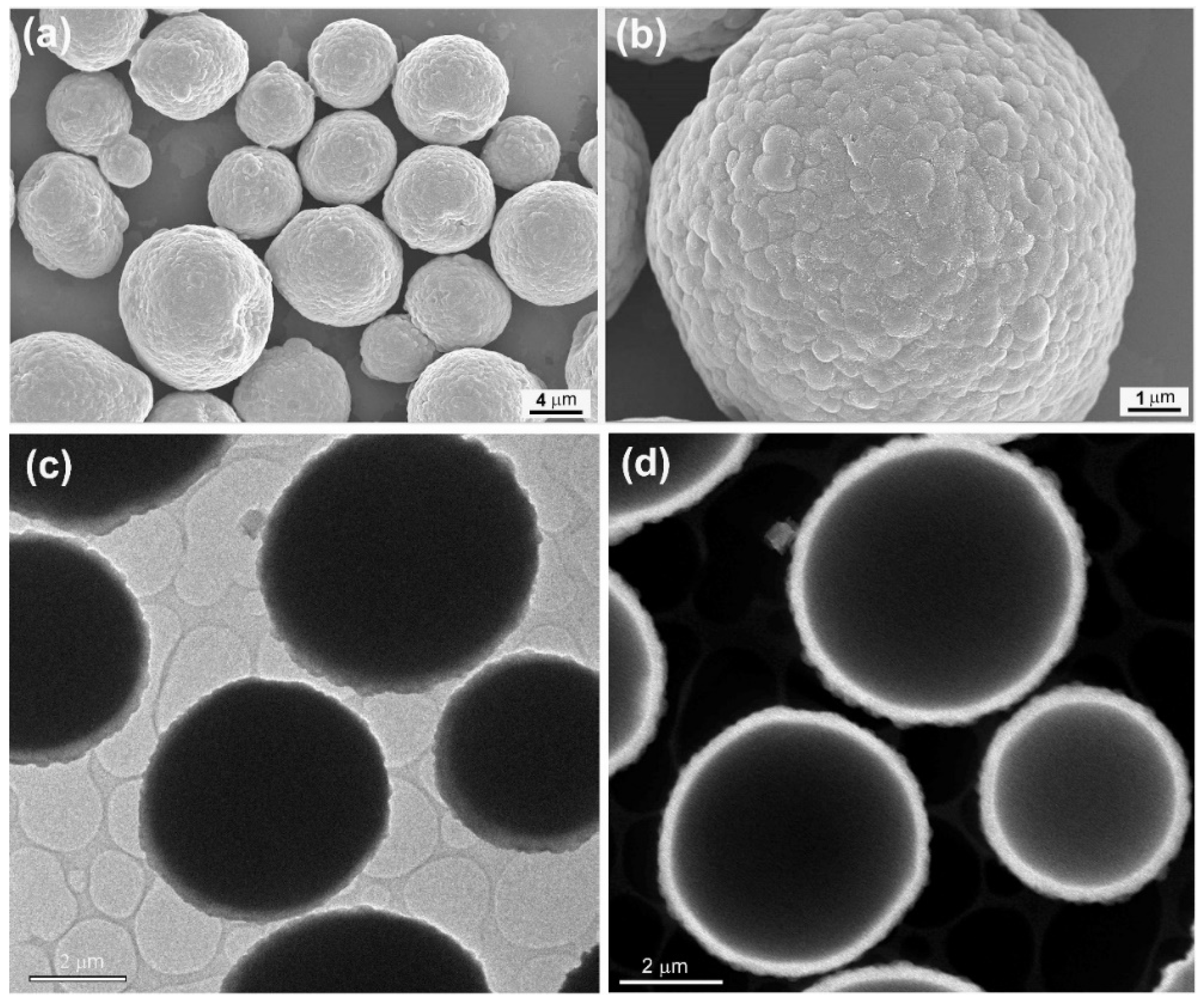 Catalysts 12 00205 g002