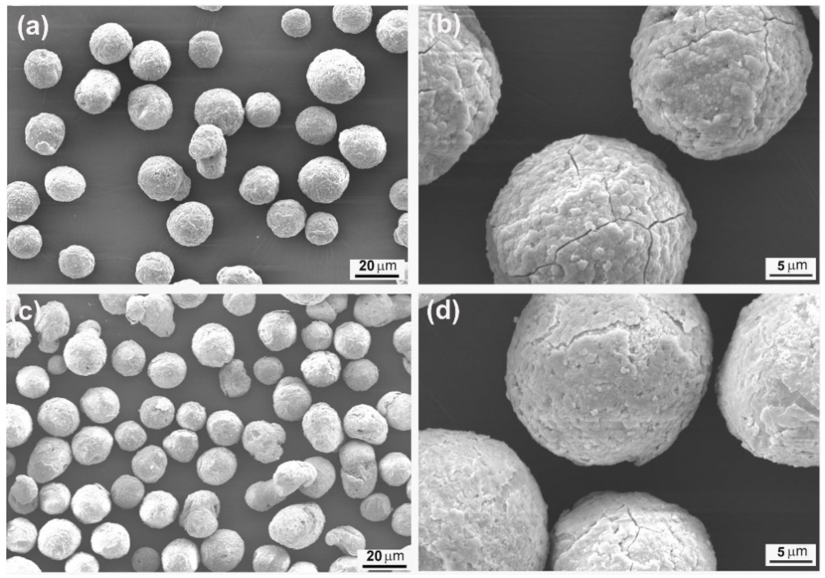 Catalysts 12 00205 g004