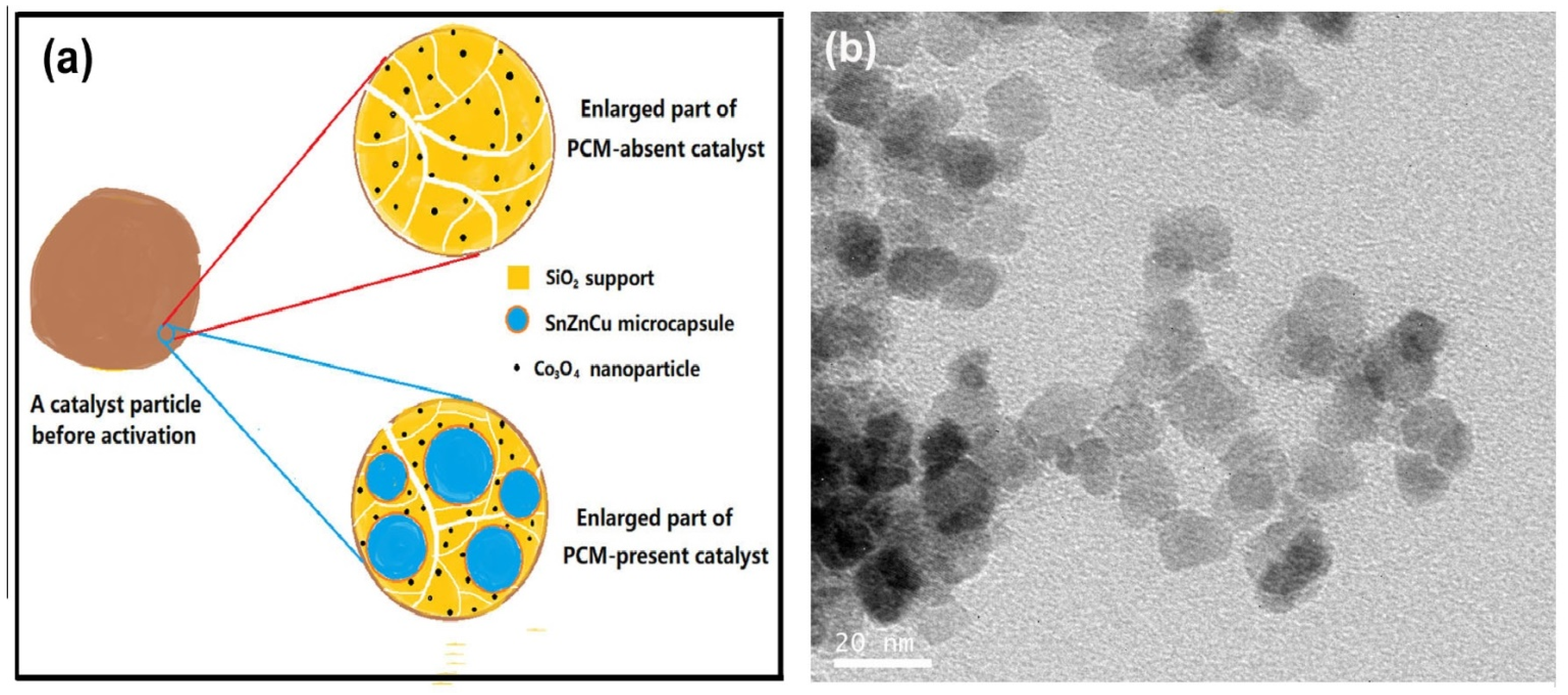 Catalysts 12 00205 g012