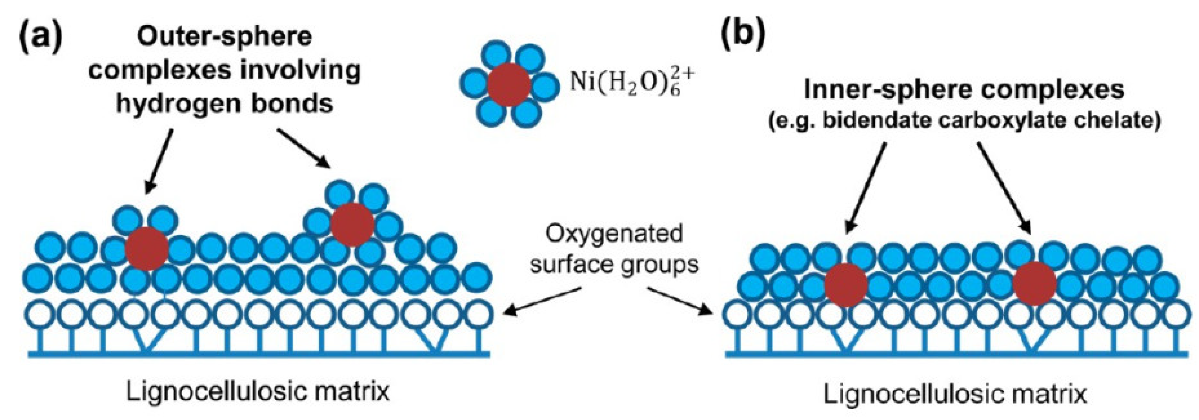 Catalysts 12 00207 g005