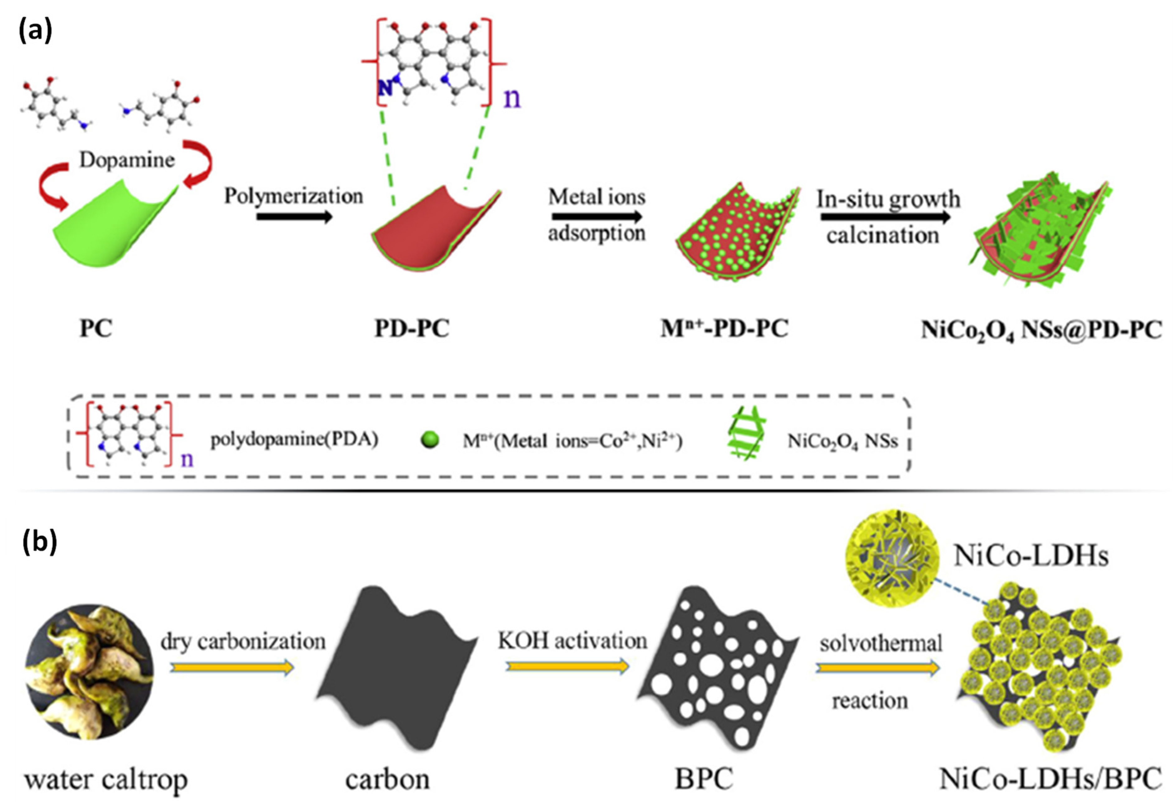 Catalysts 12 00207 g006