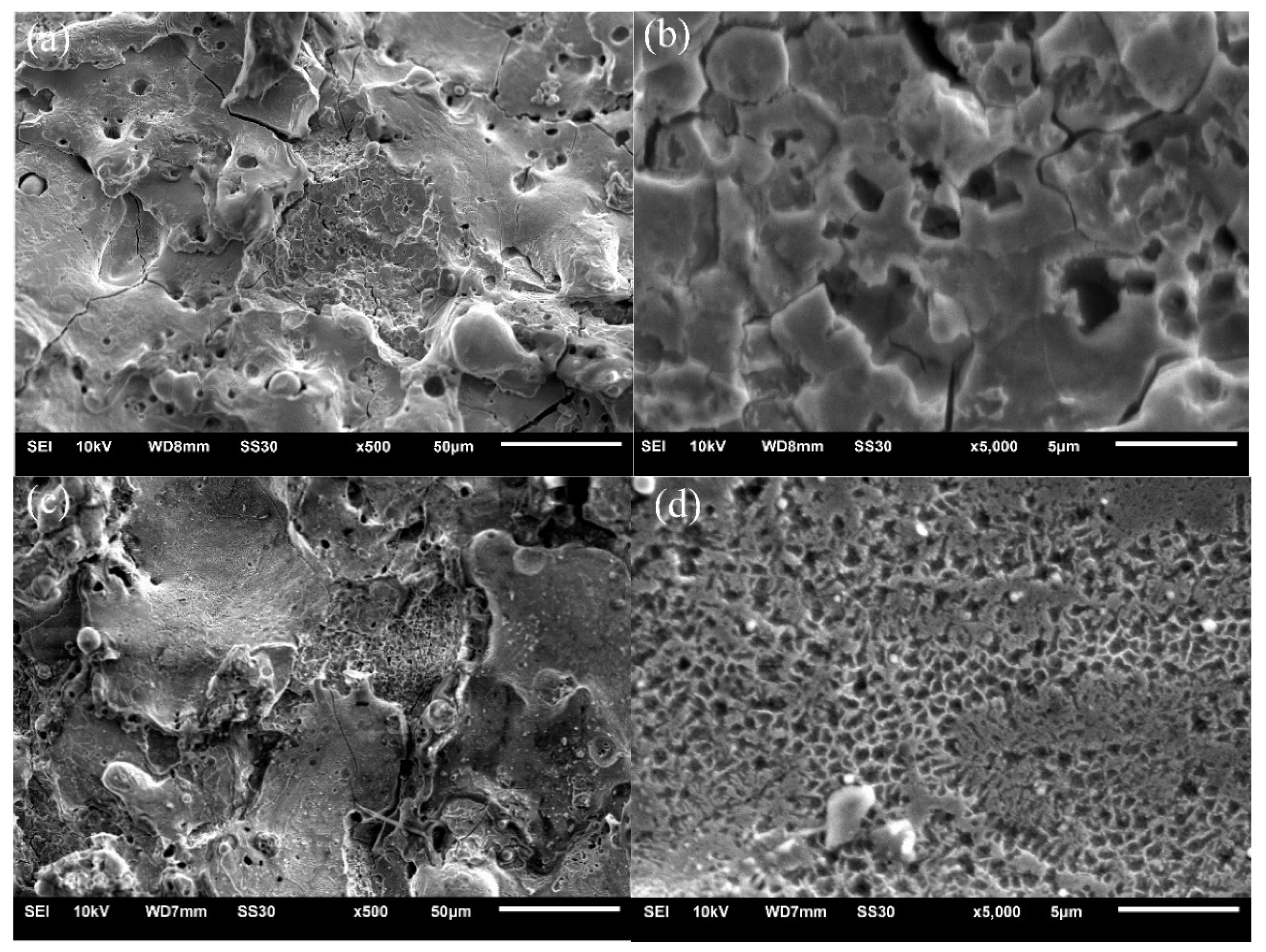 Catalysts 12 00208 g005