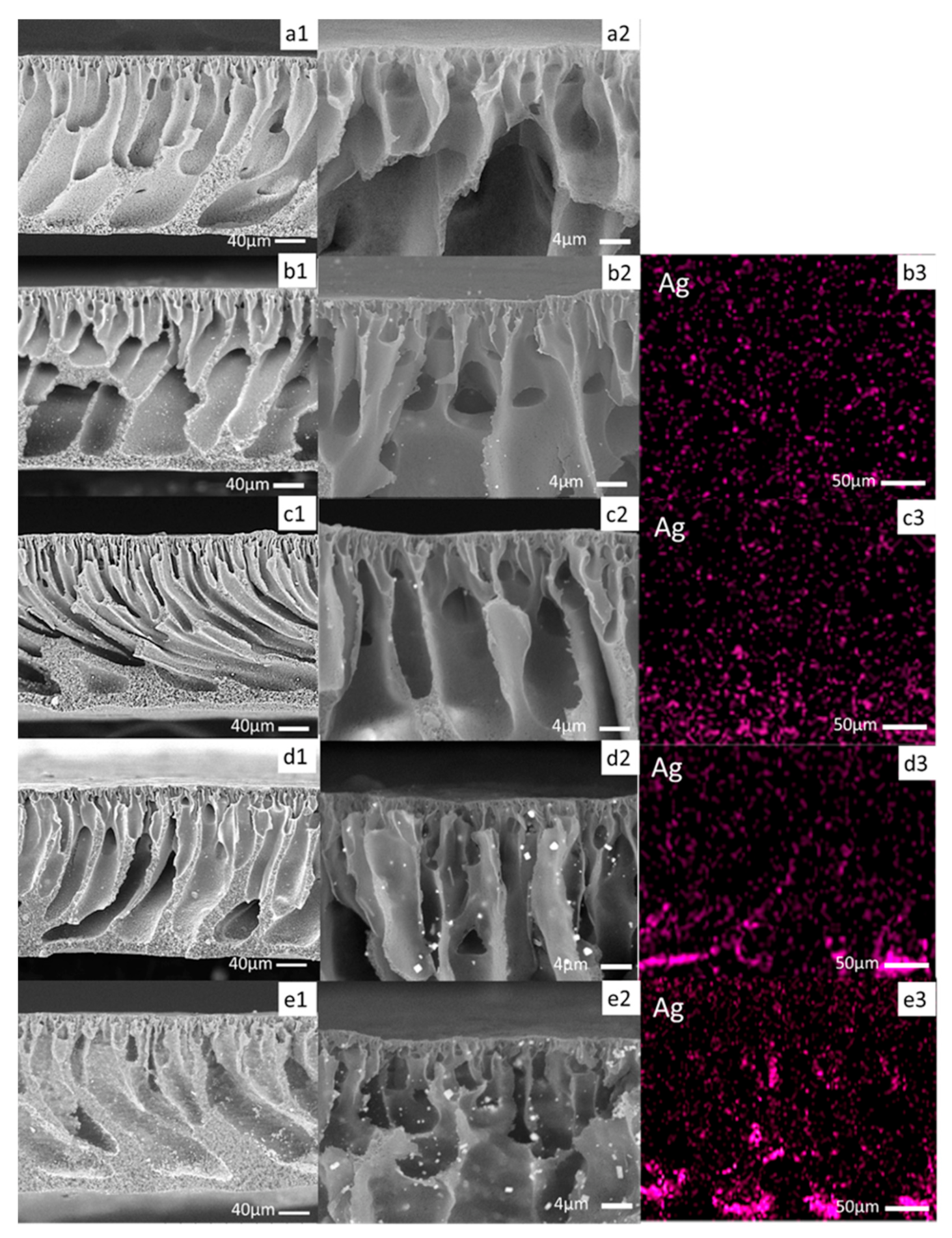 Catalysts 12 00209 g001 Catalysts 12 00209 g001