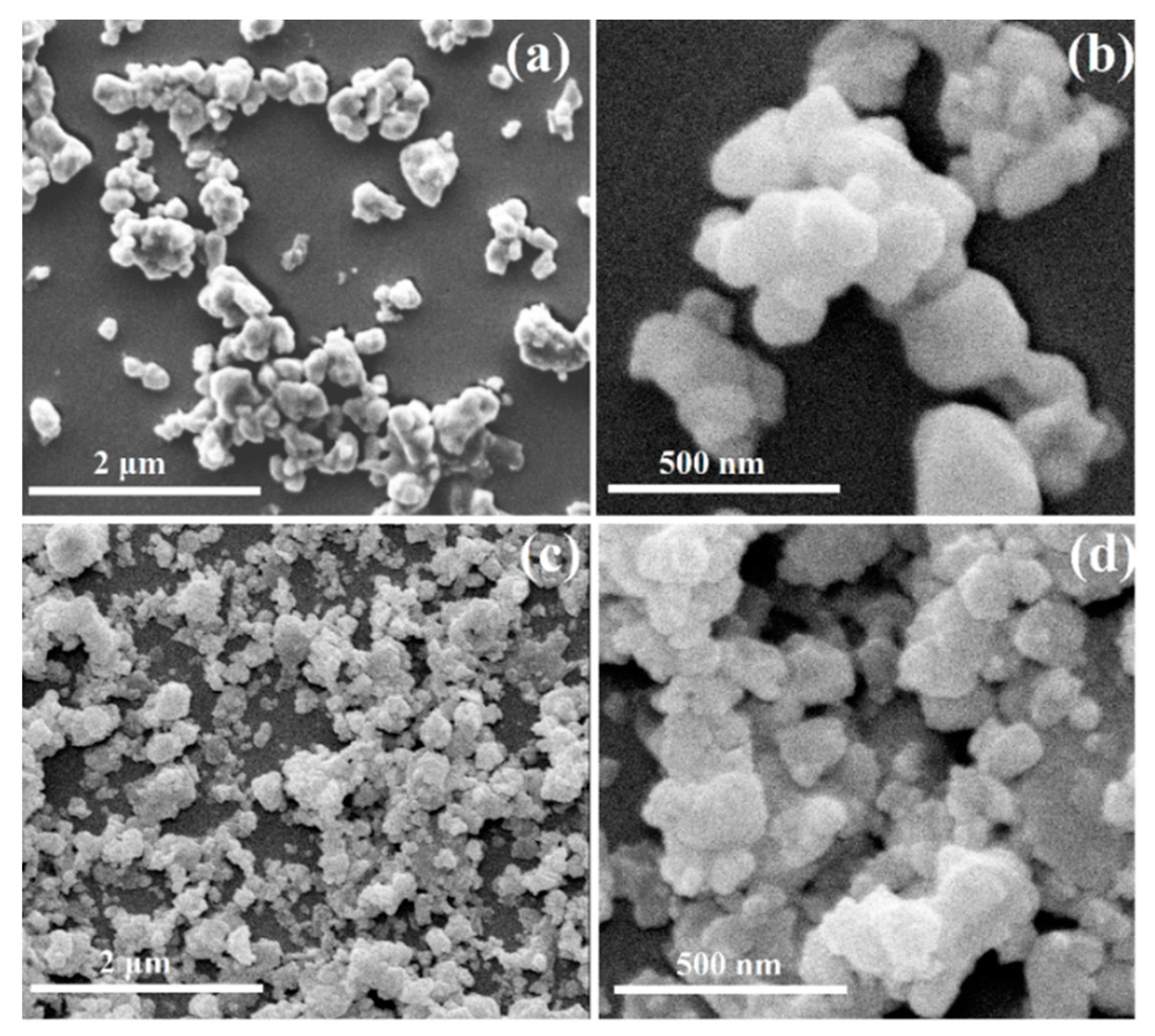 Catalysts 12 00215 g004