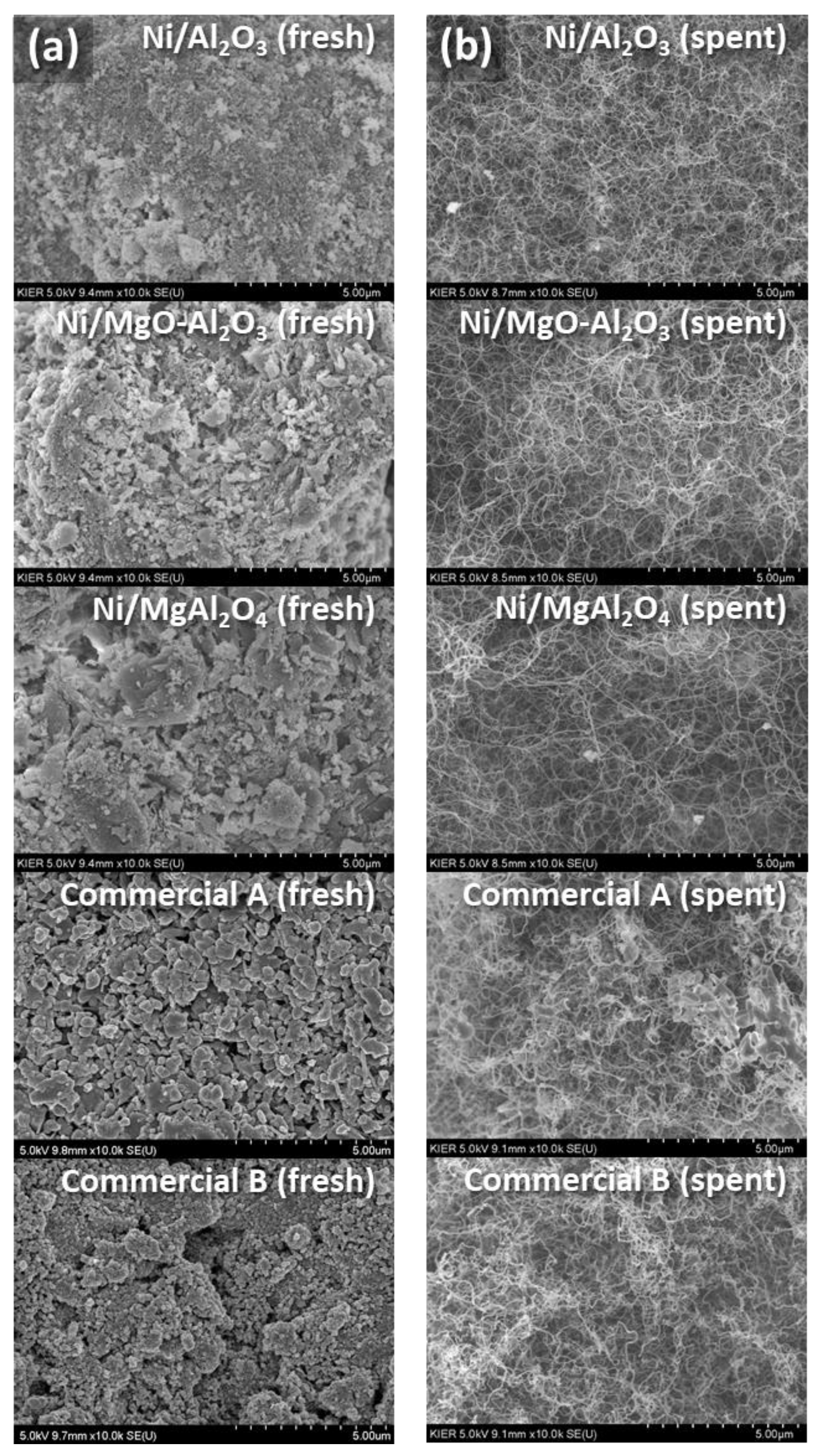 Catalysts 12 00216 g006
