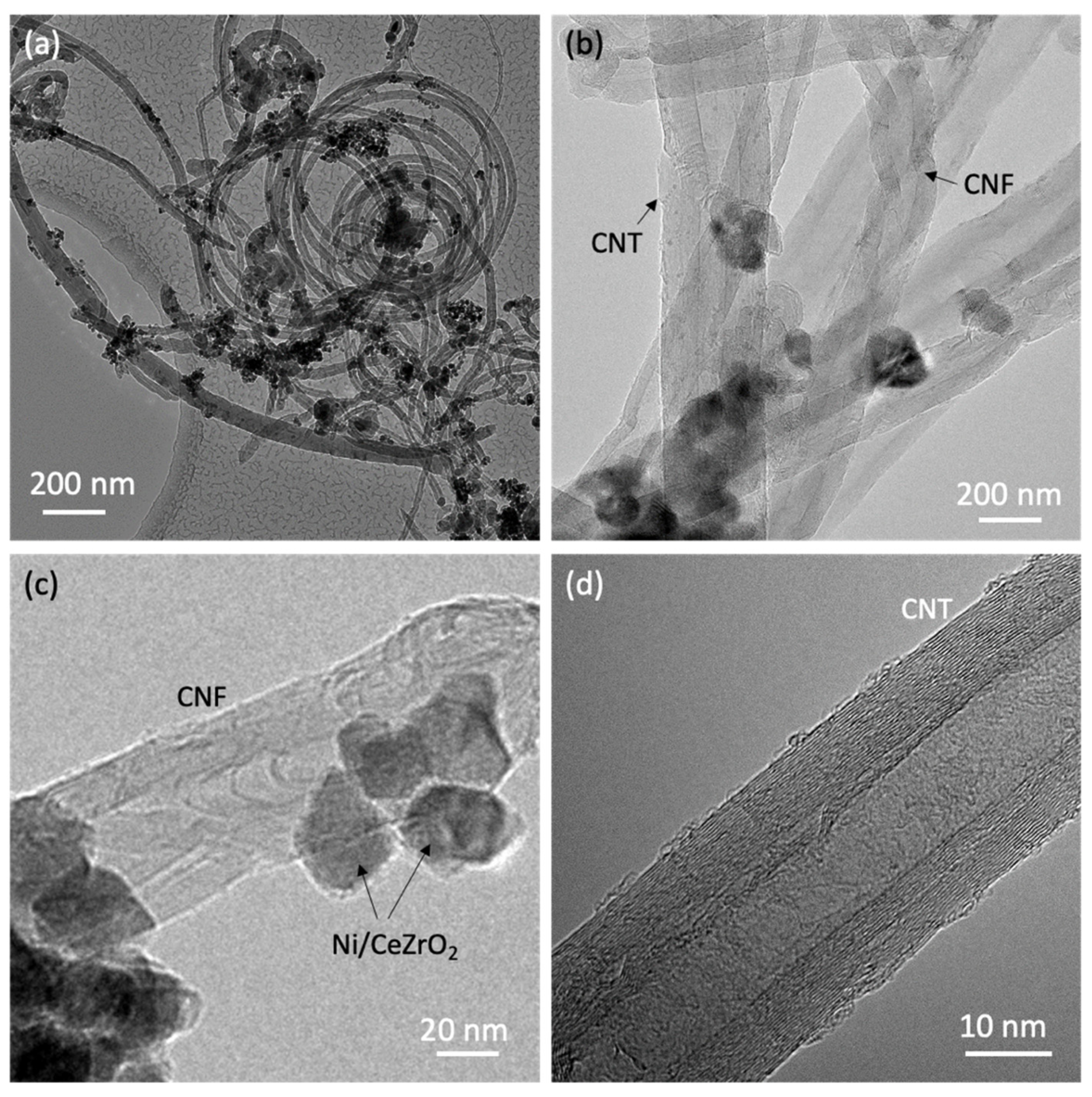 Catalysts 12 00219 g005 Catalysts 12 00219 g005