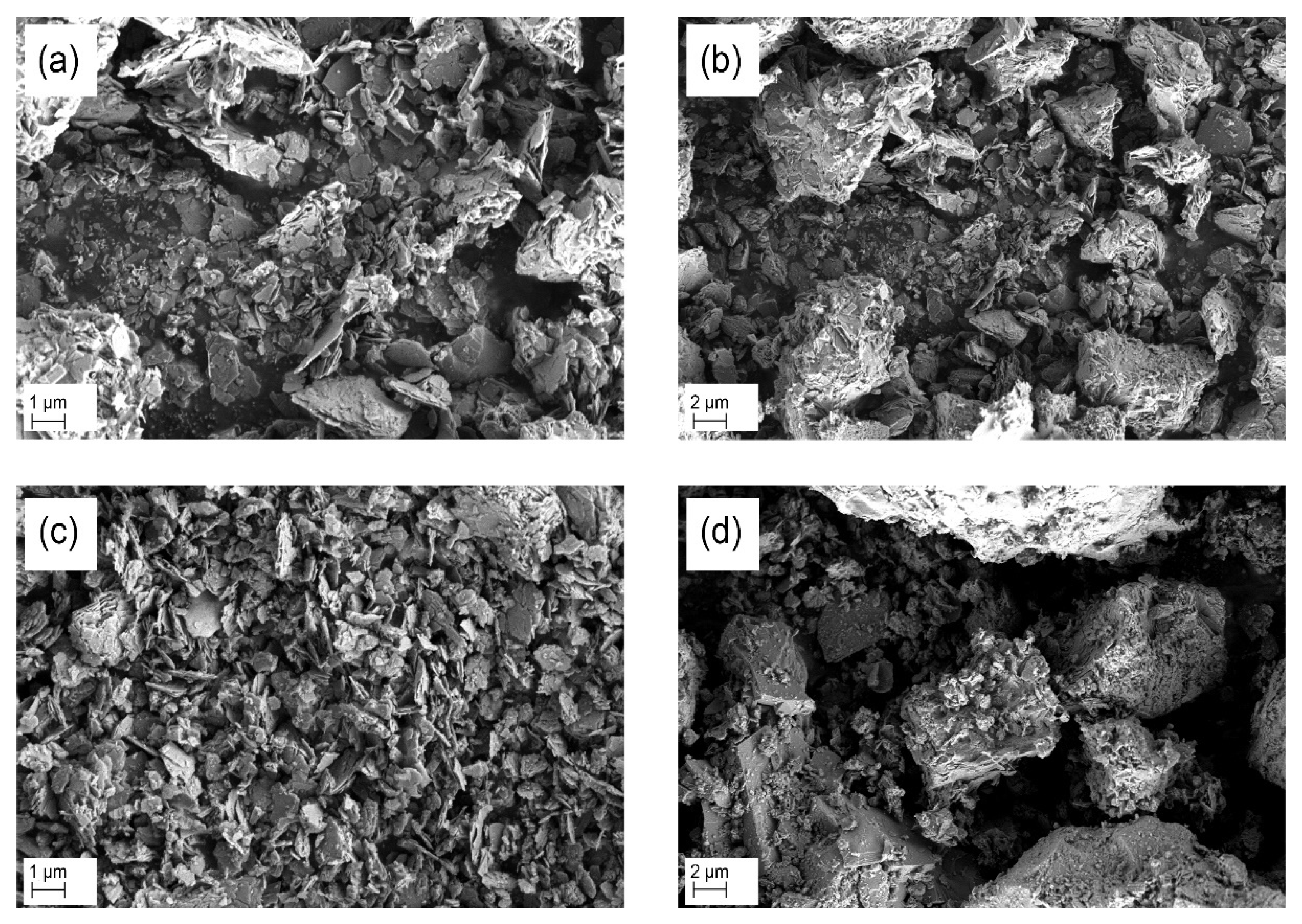 Catalysts 12 00224 g003