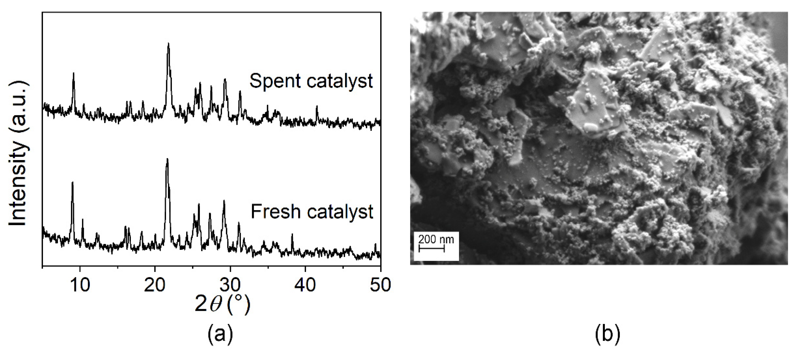 Catalysts 12 00224 g009