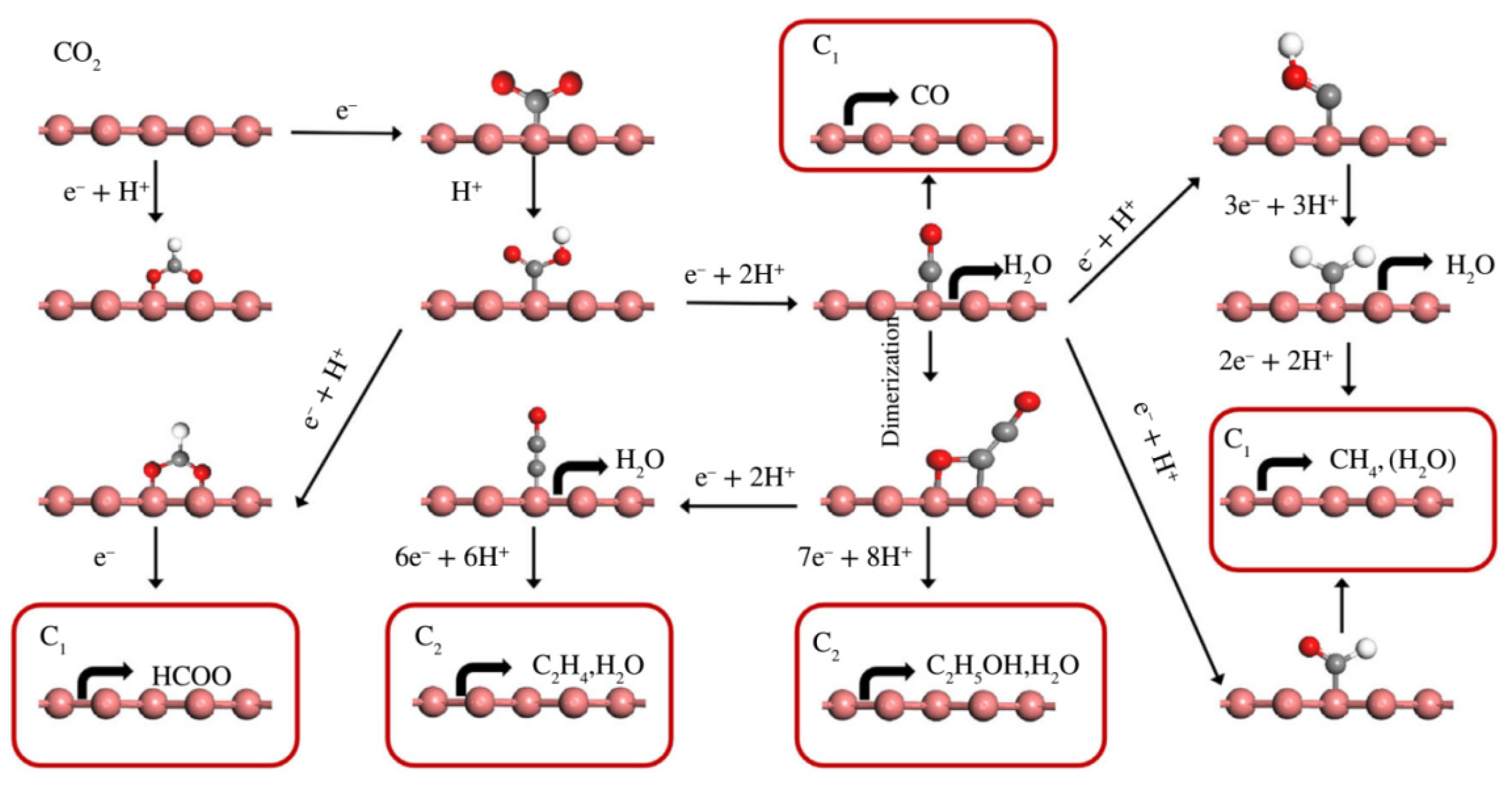 Catalysts 12 00228 g001