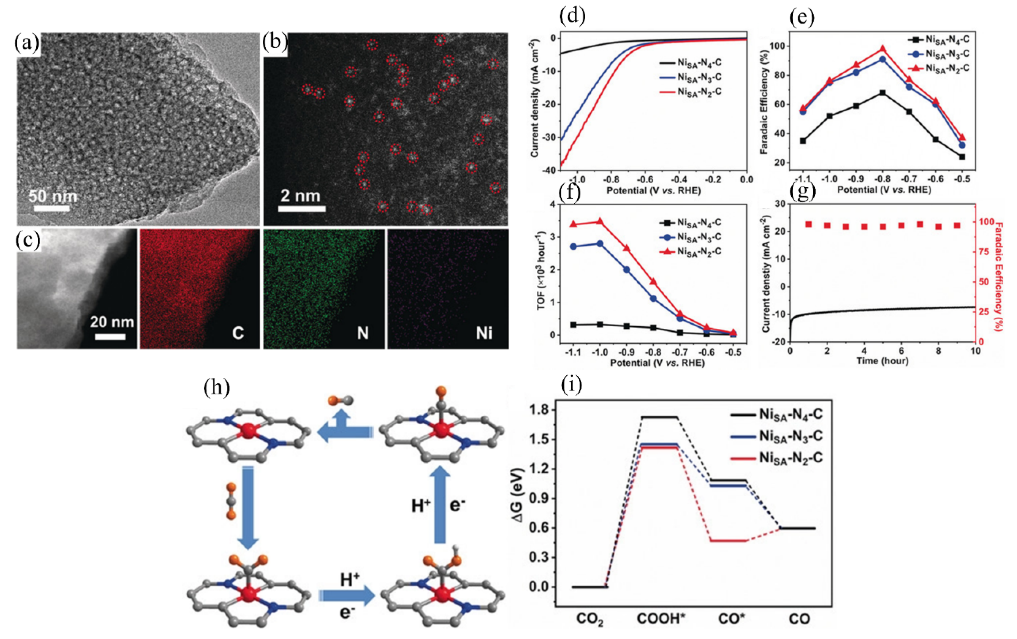 Catalysts 12 00228 g011