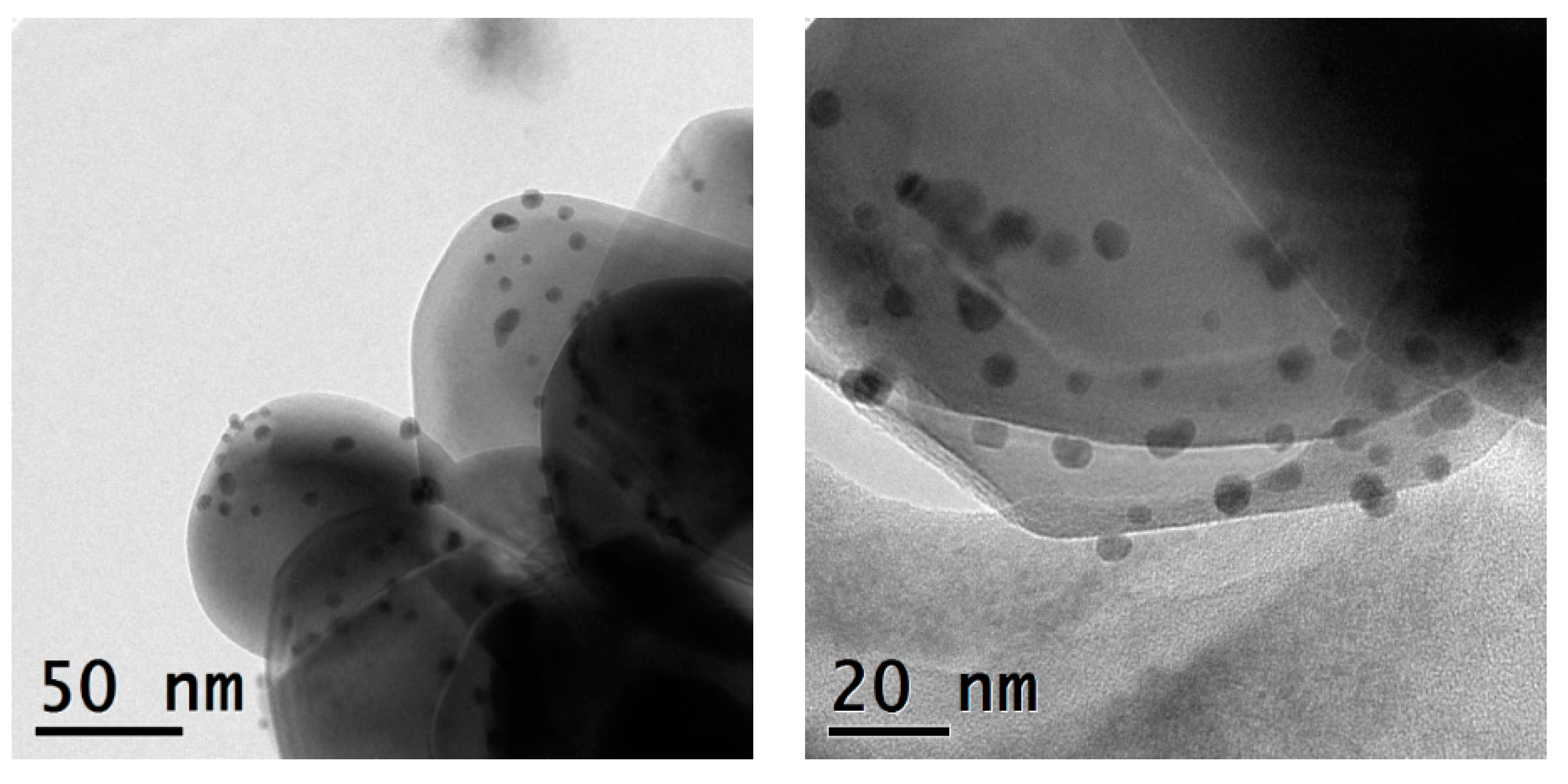 Catalysts 12 00235 g005