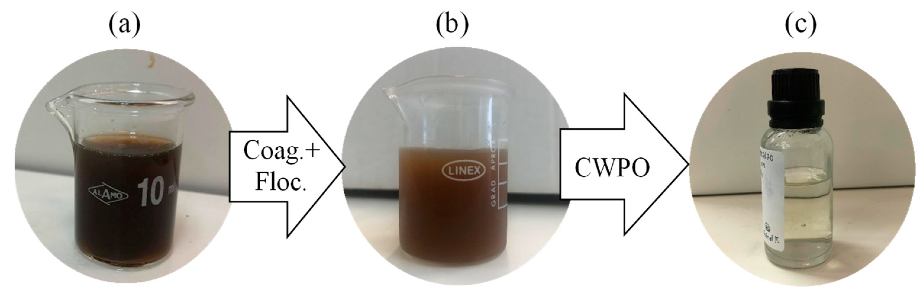 Catalysts 12 00238 g005
