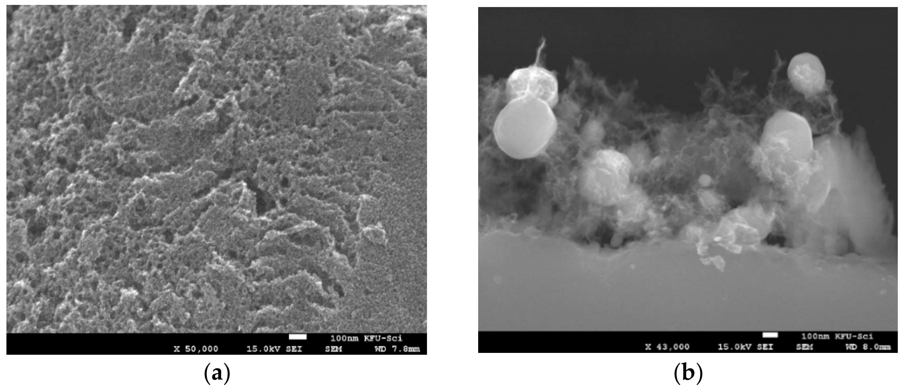 Catalysts 12 00248 g001