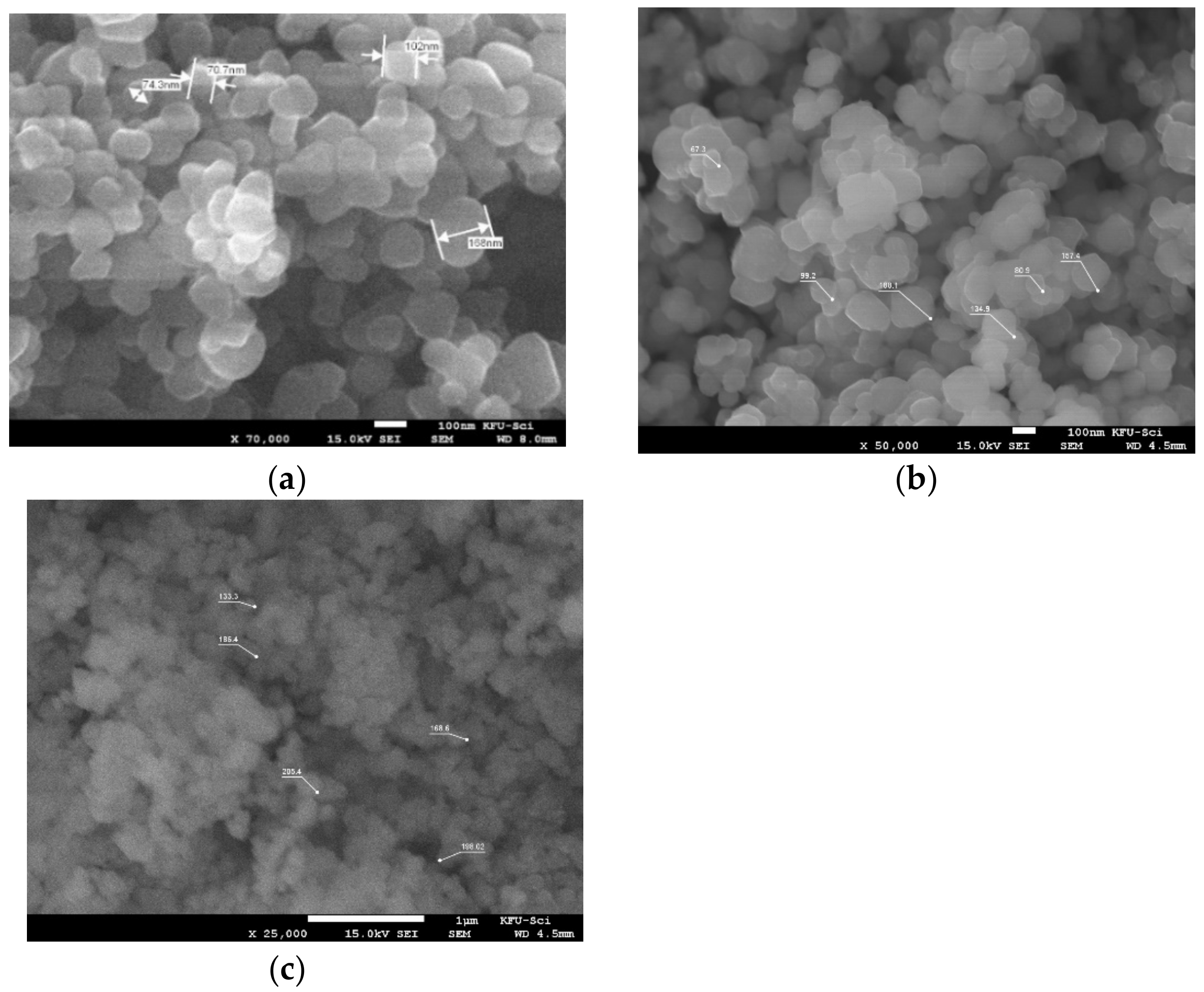 Catalysts 12 00248 g002