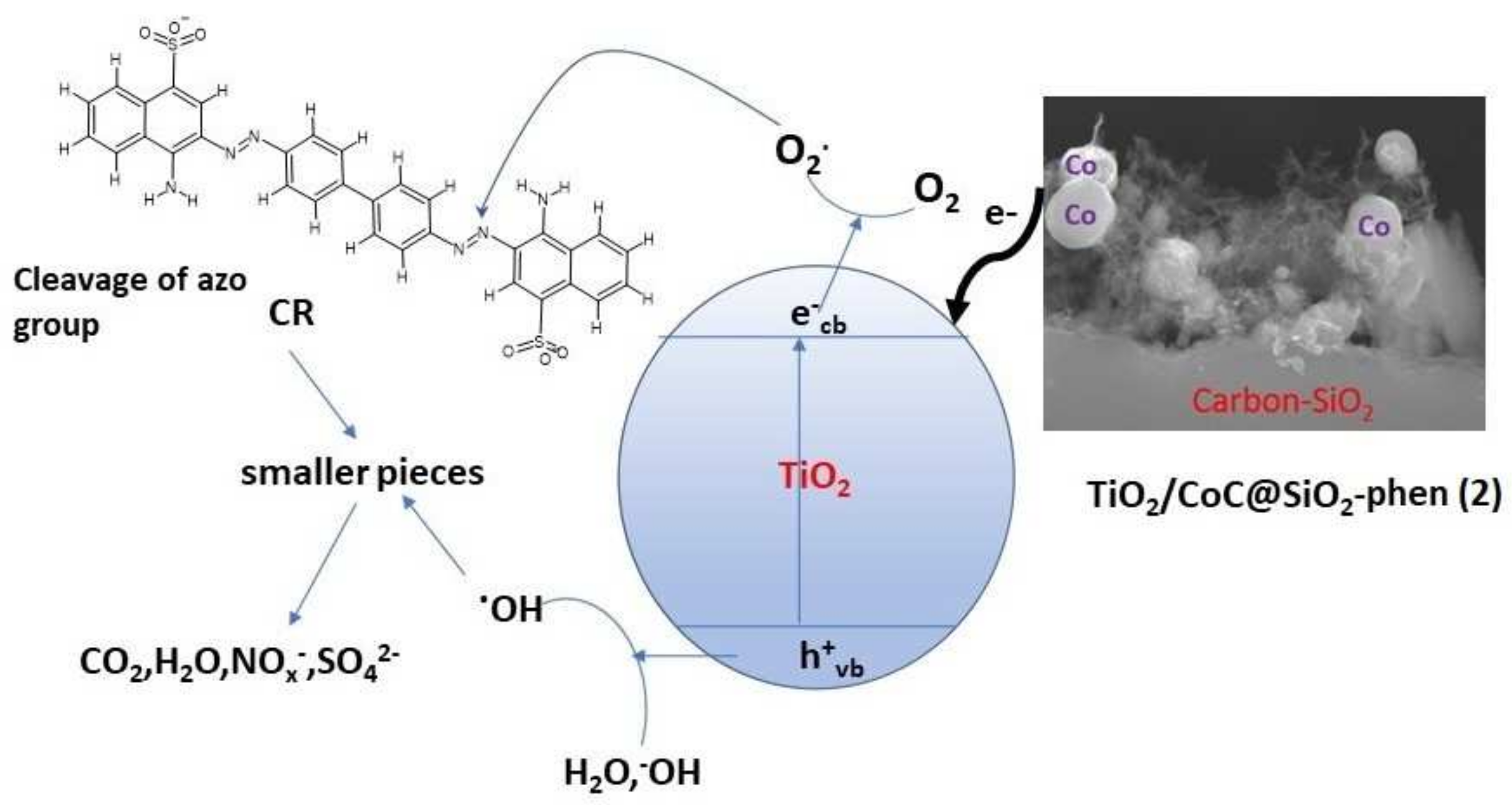 Catalysts 12 00248 g009