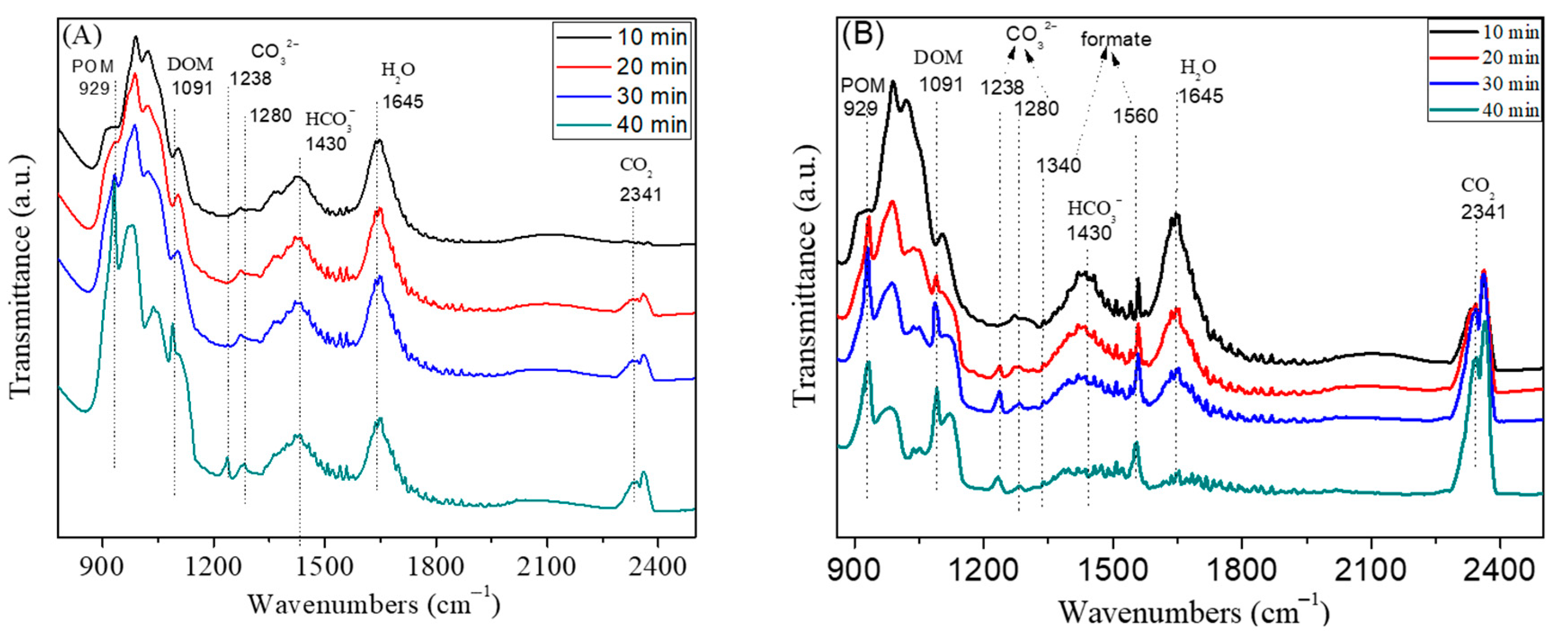 Catalysts 12 00262 g011