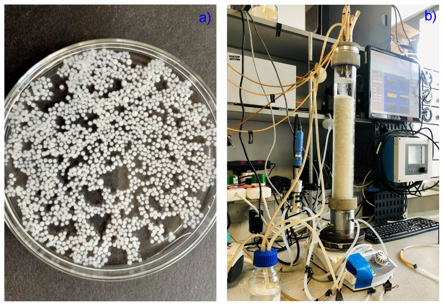 Catalysts 12 00263 g001 Catalysts 12 00263 g001
