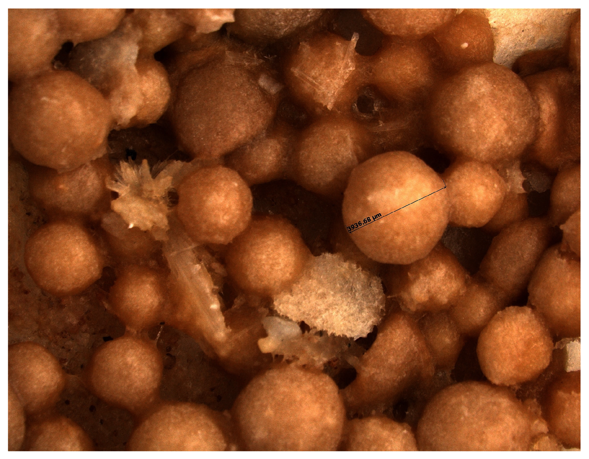 Catalysts 12 00263 g004 Catalysts 12 00263 g004