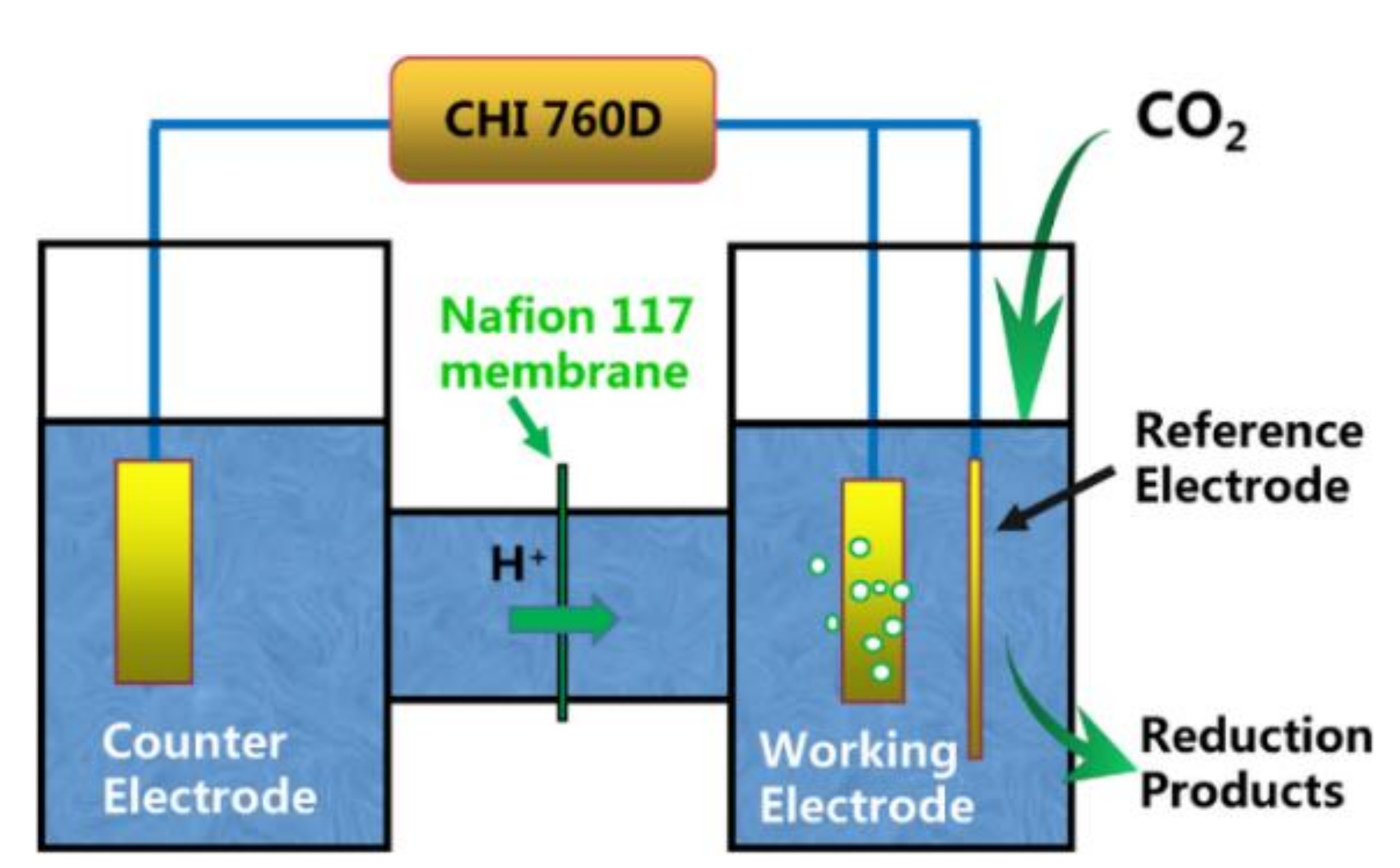 Catalysts 12 00275 g003