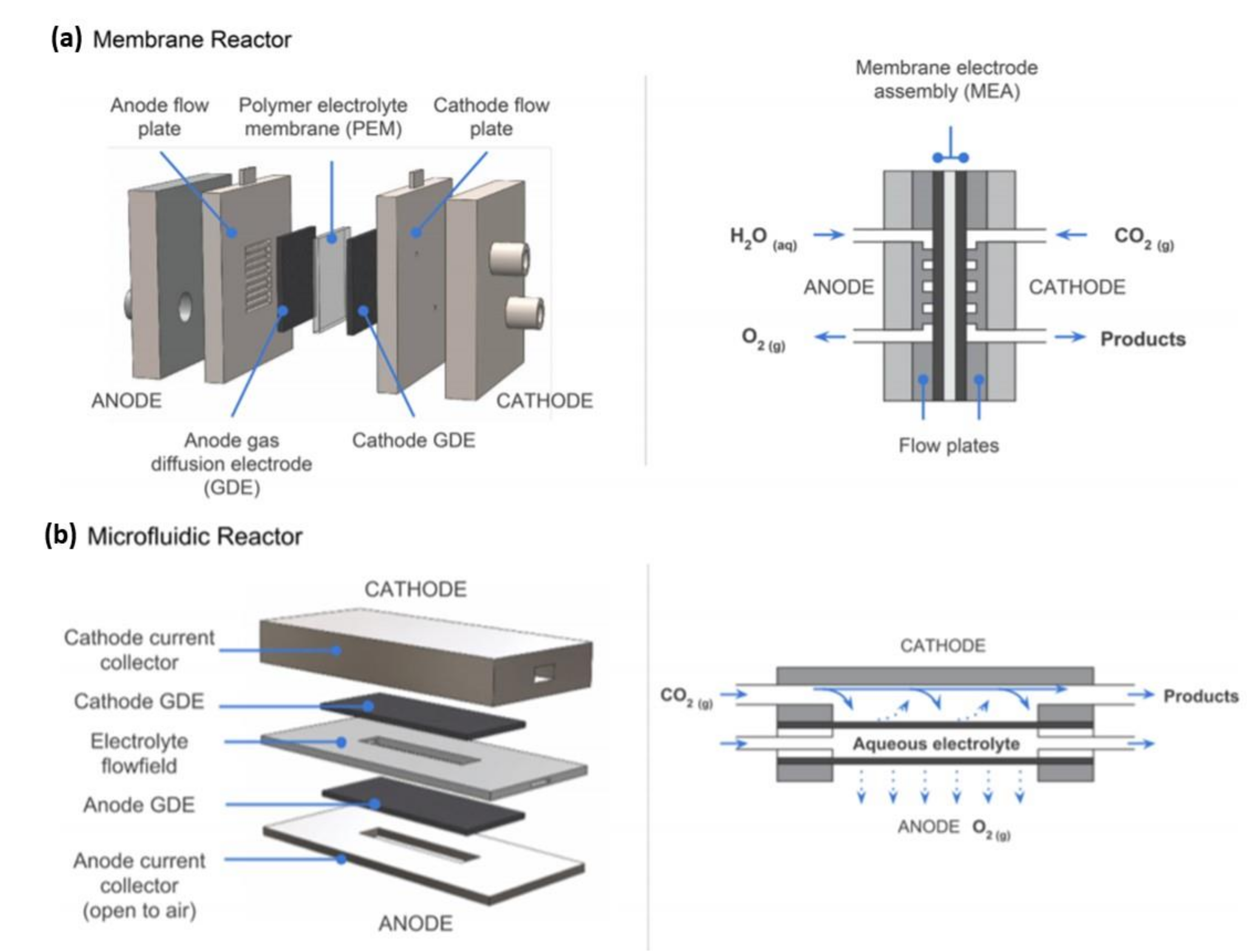 Catalysts 12 00275 g004