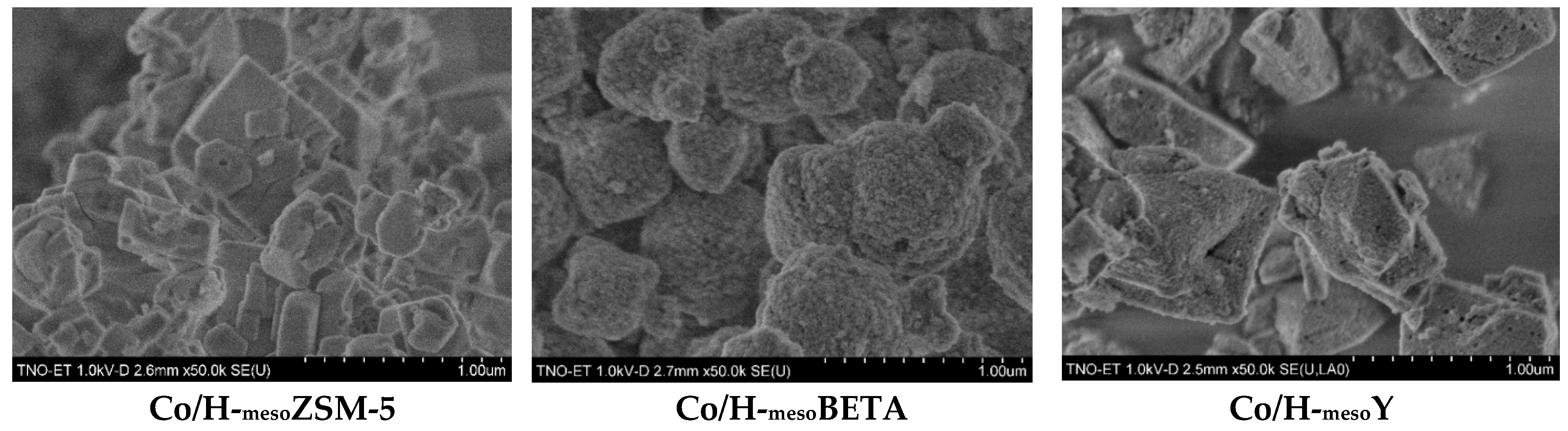 Catalysts 12 00288 g003