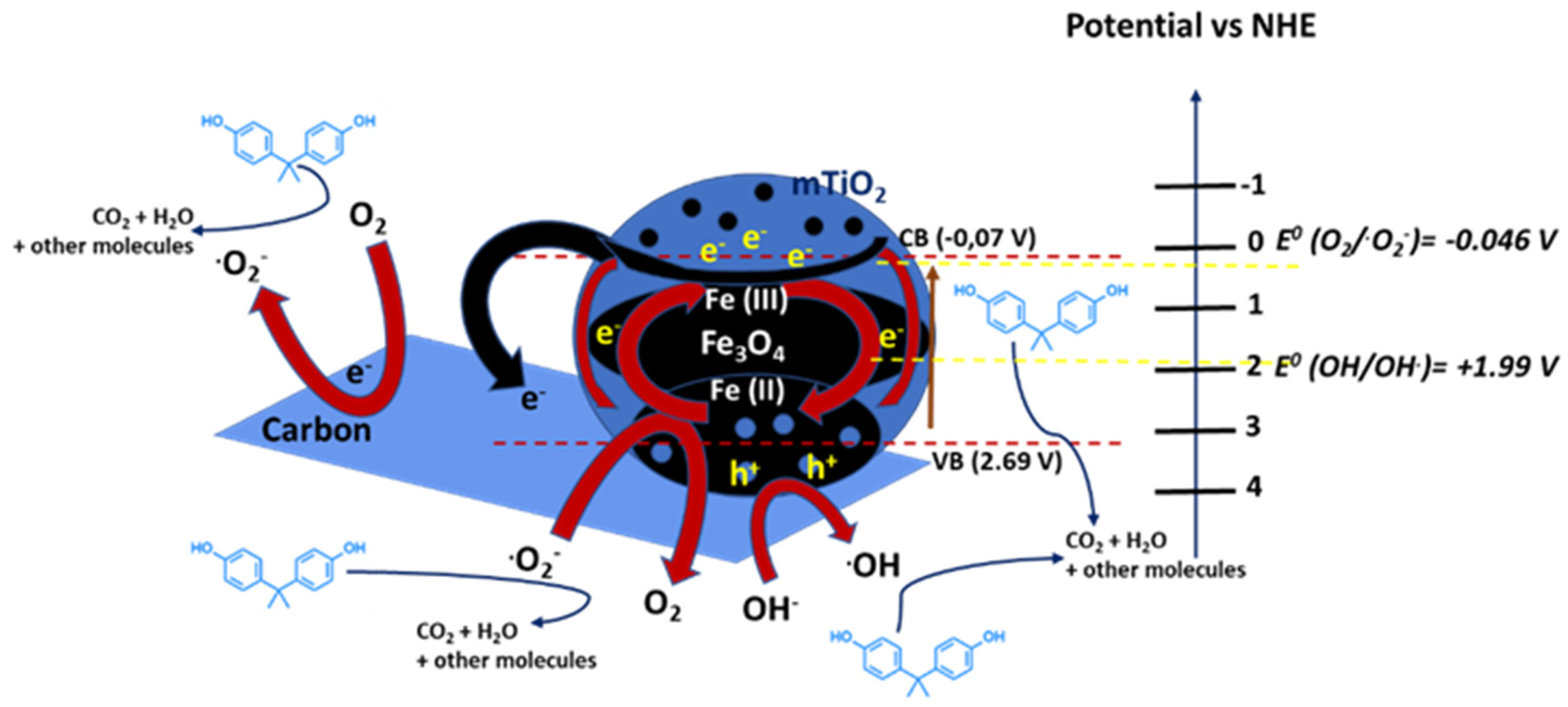 Catalysts 12 00289 g005